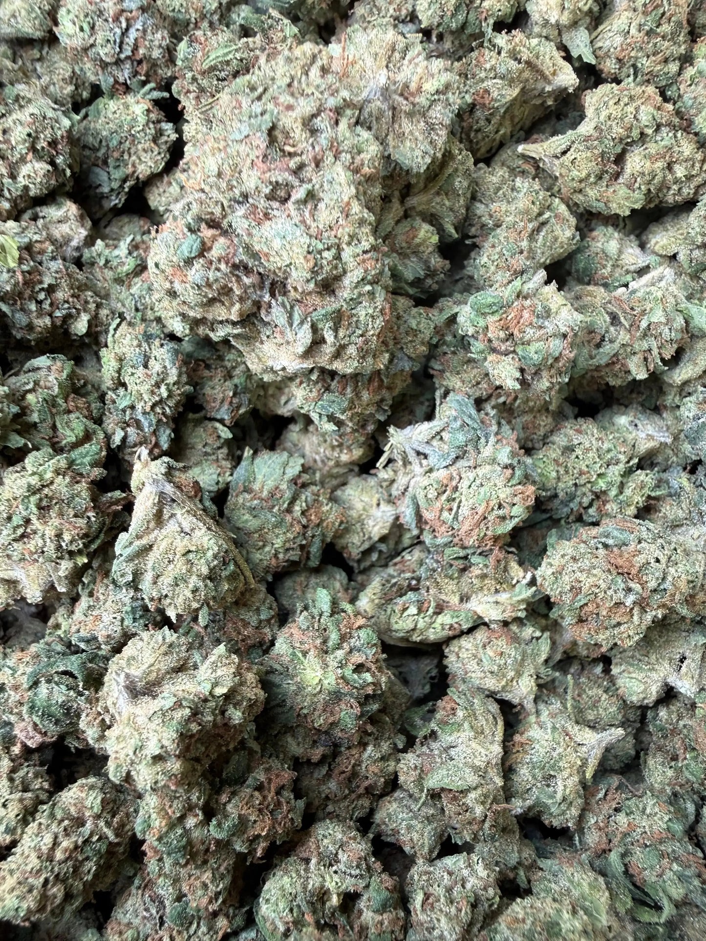 1 Pound - Super Wu Tang OG Strain Frisco Labs