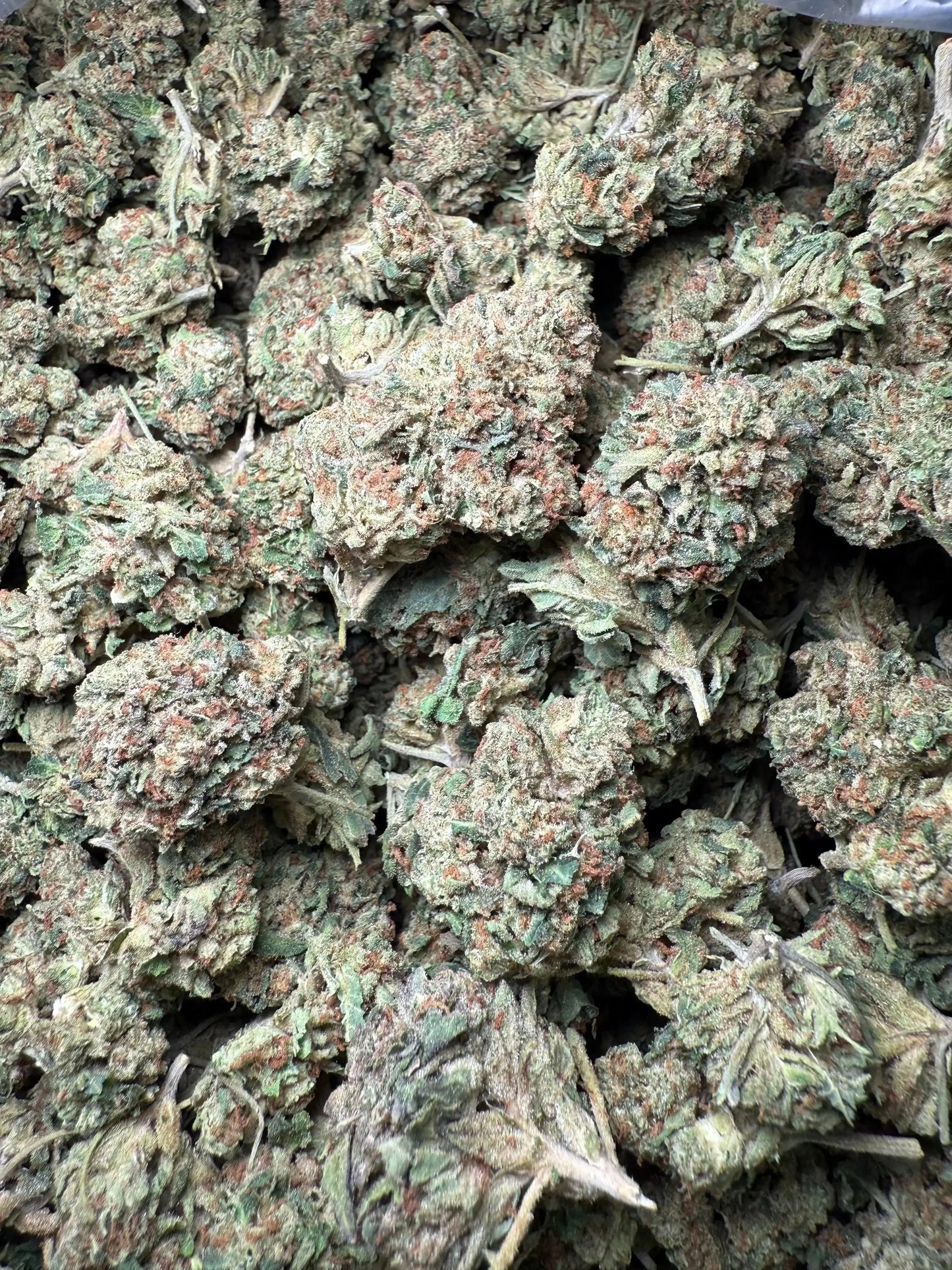 1 Pound Biscotti Sundae THCA FL Fulfillment Center