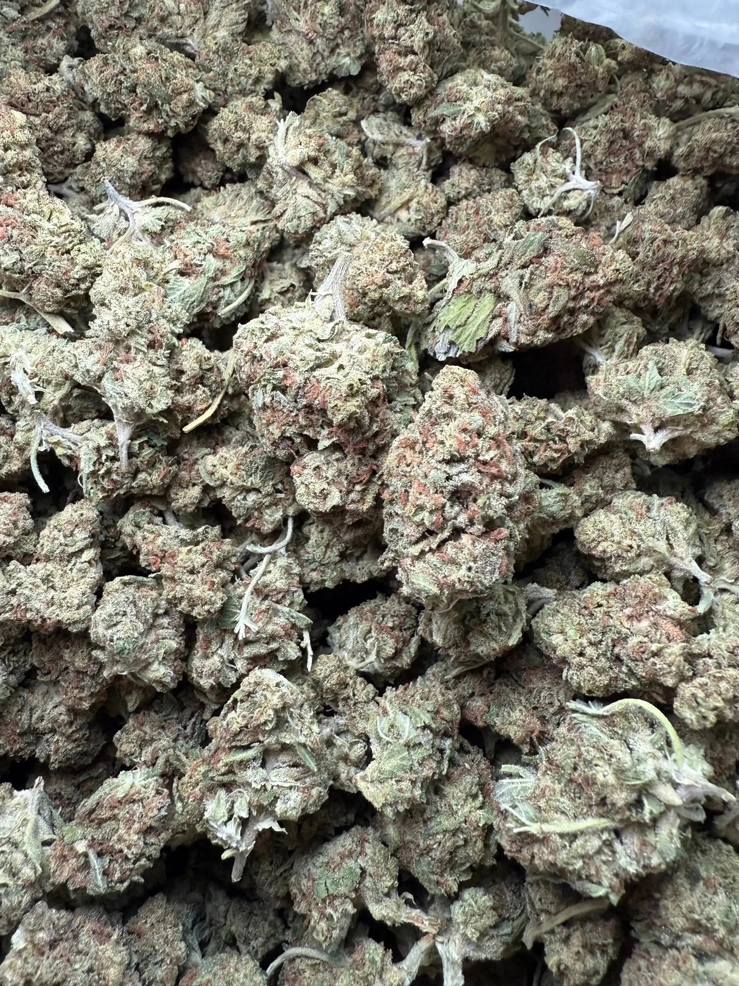 1 Pound Black Bananas THCA FL Fulfillment Center