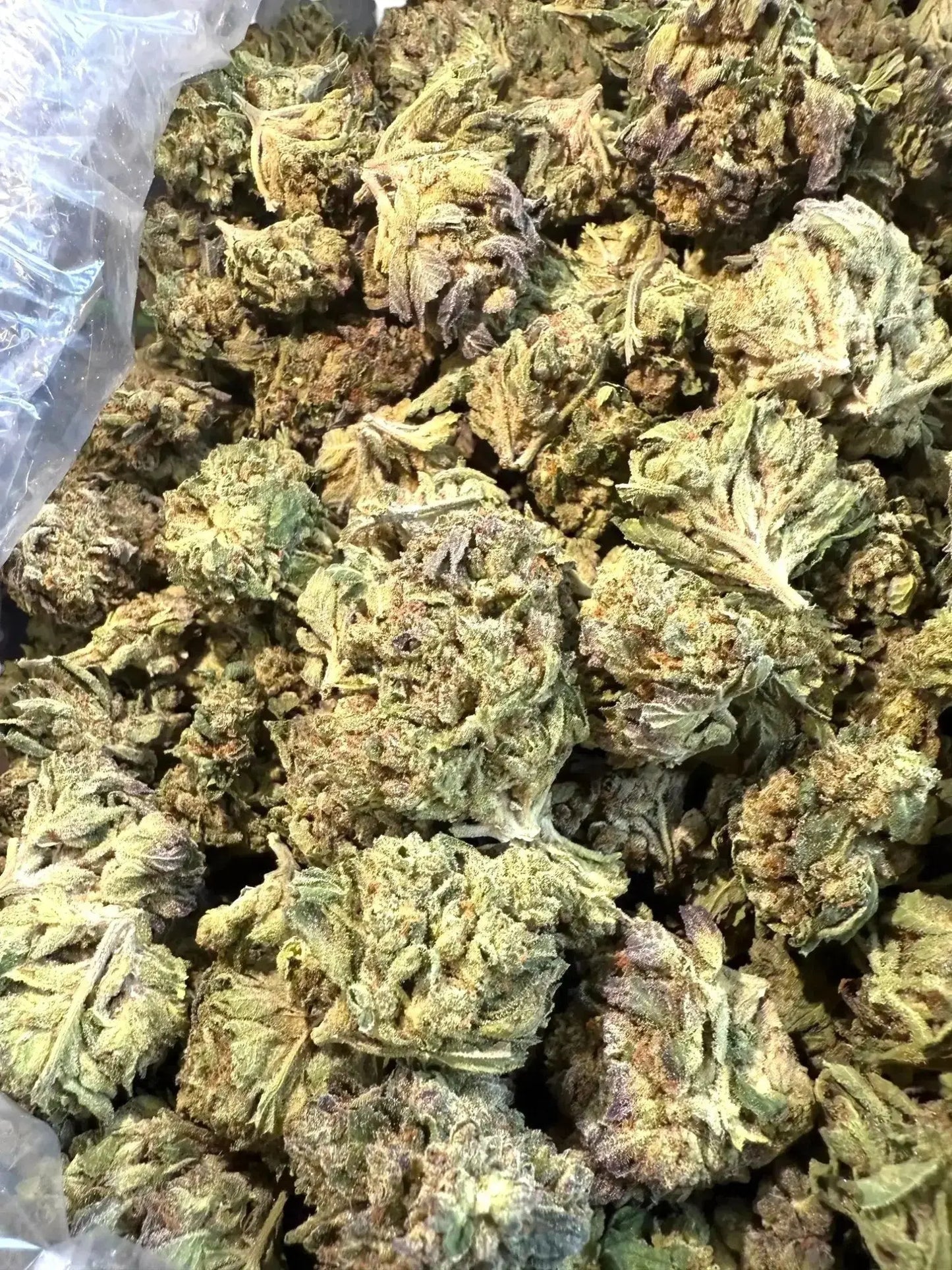 1 Pound GTI Blue THCA FL Fulfillment Center