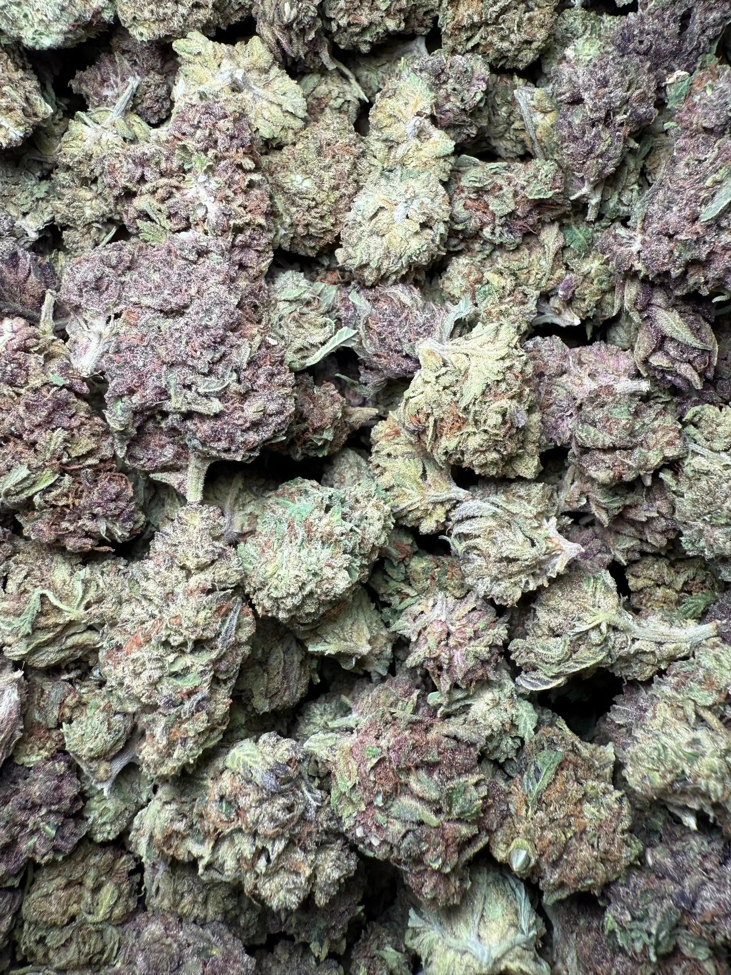 1 Pound Tropical Zmoothie THCA FL Fulfillment Center