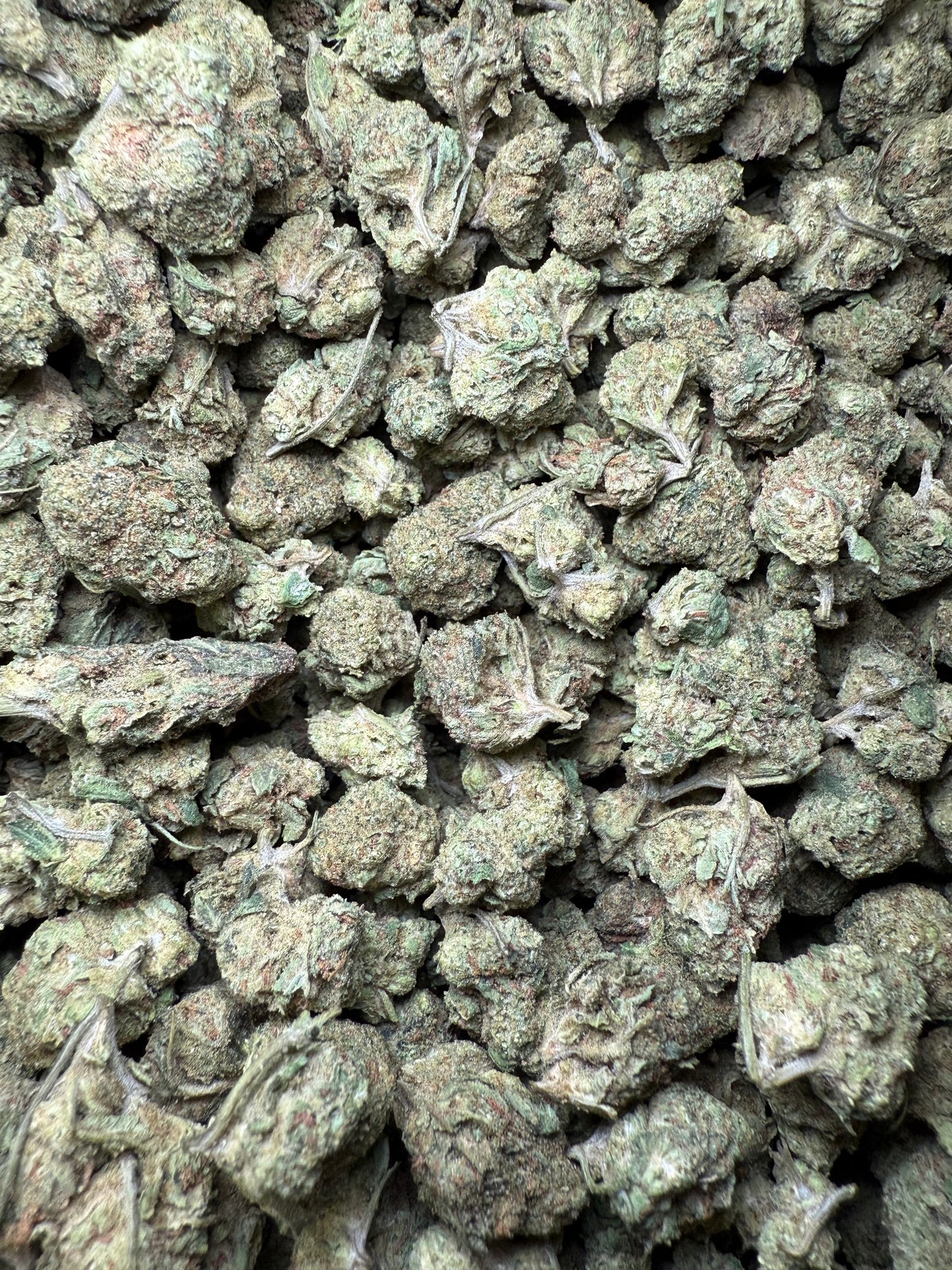 1 Pound - Zkittlez Kush THCA Strain Frisco Labs