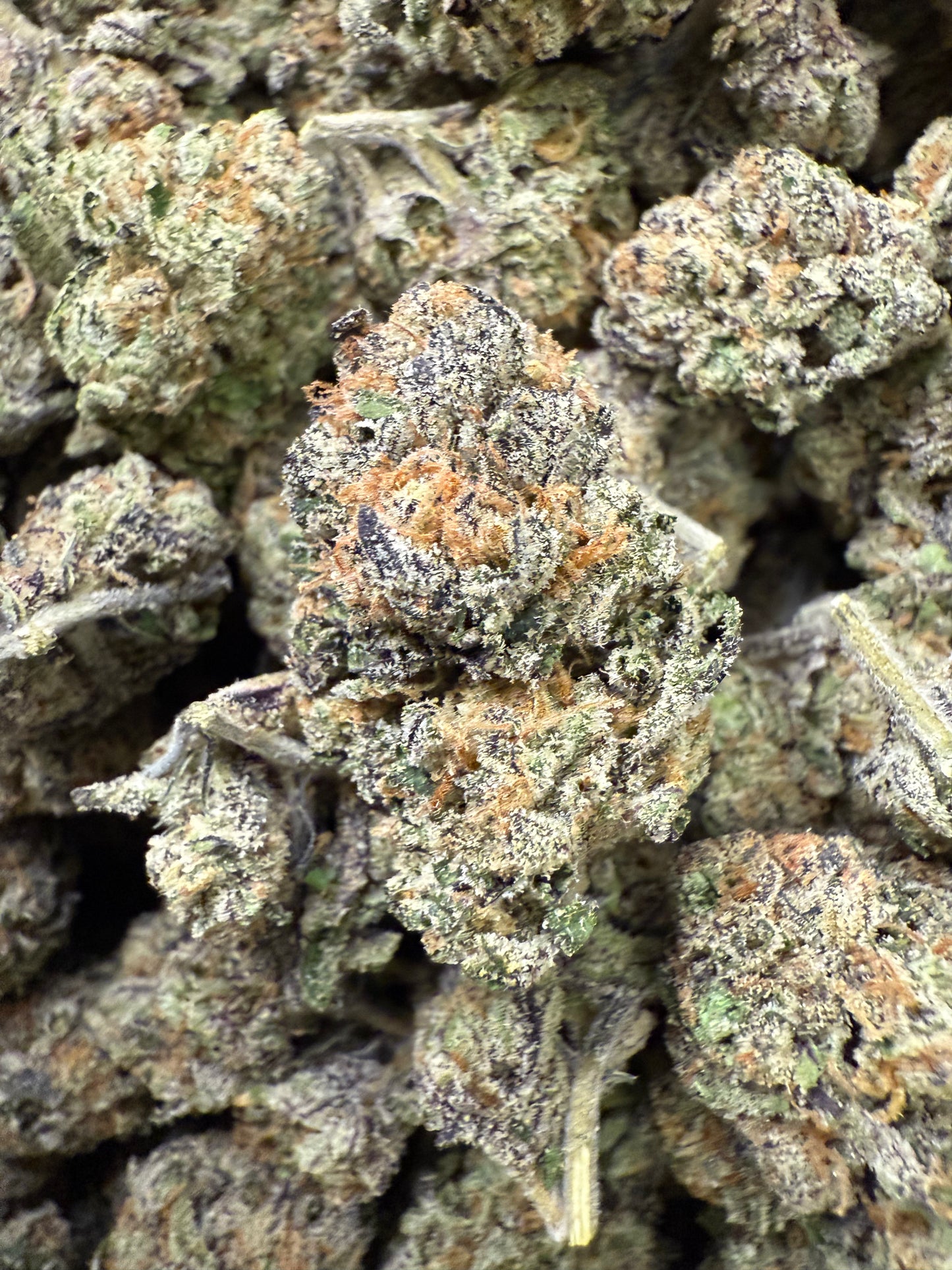 1 Pound AAA GRUNTZ THCA FL Fulfillment Center