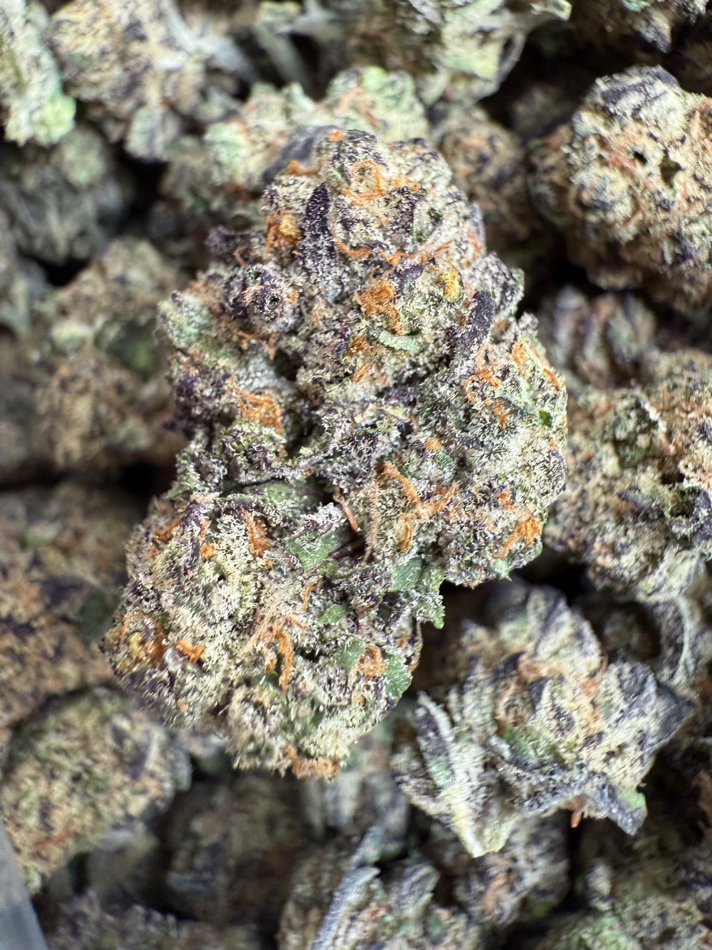 1 Pound - AAA Grape Gasoline THCA FL Fulfillment Center