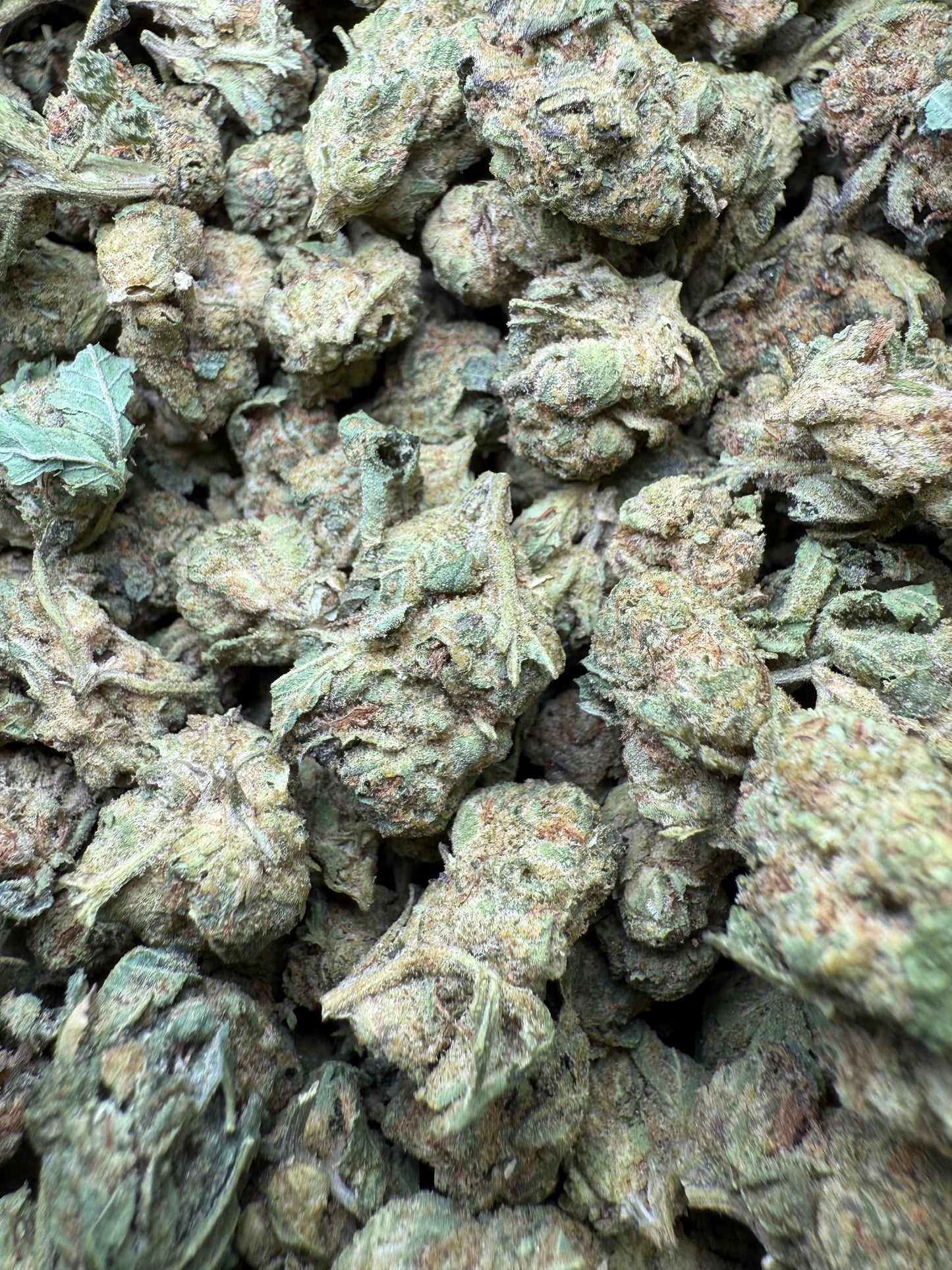 1 Pound - Apples and Bananas THCA Strain (Smalls) Frisco Labs