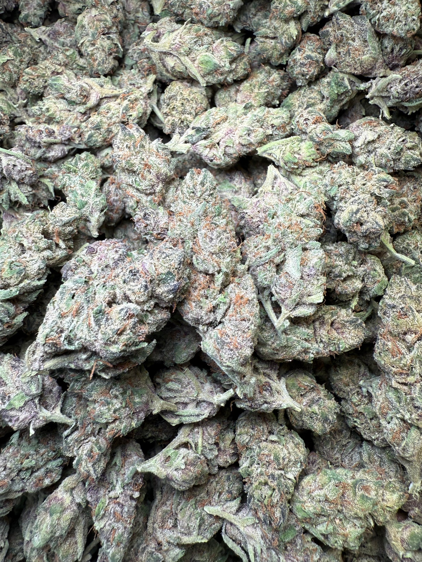 1 Pound - Blockberry THCA Strain Frisco Labs