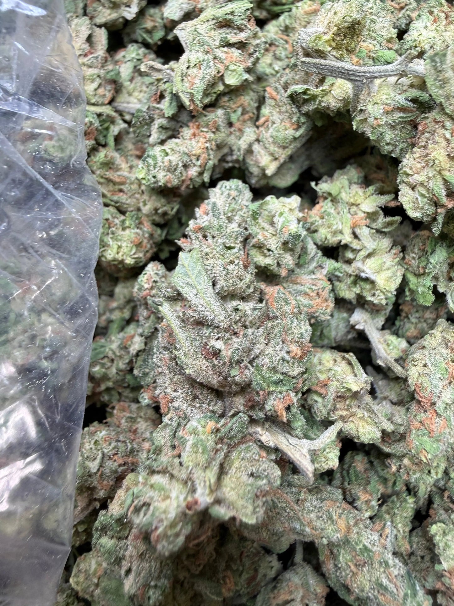 1 Pound - Blue Dream THCA Strain Frisco Labs