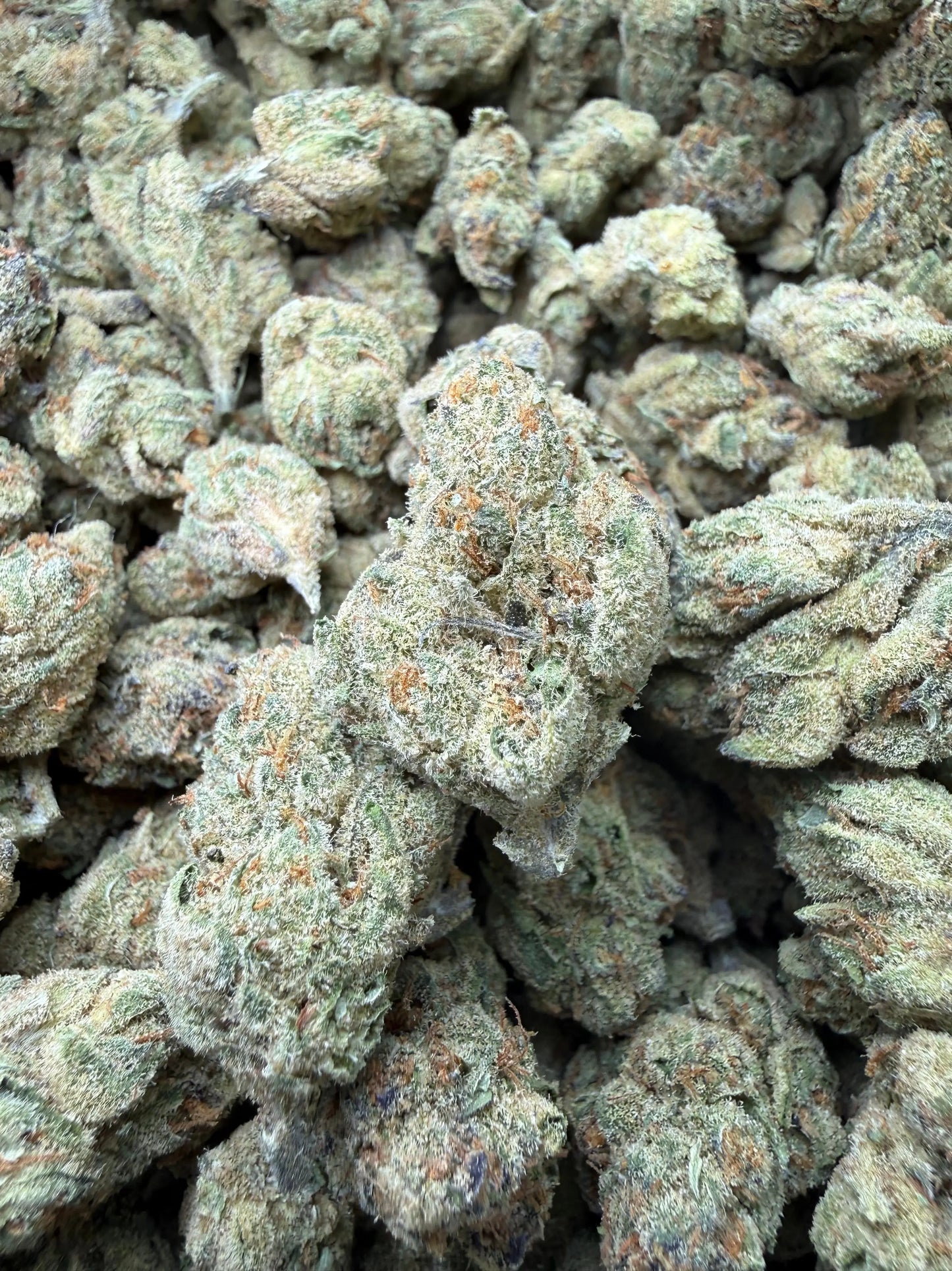 1 Pound - Blue Dream THCA Strain Frisco Labs