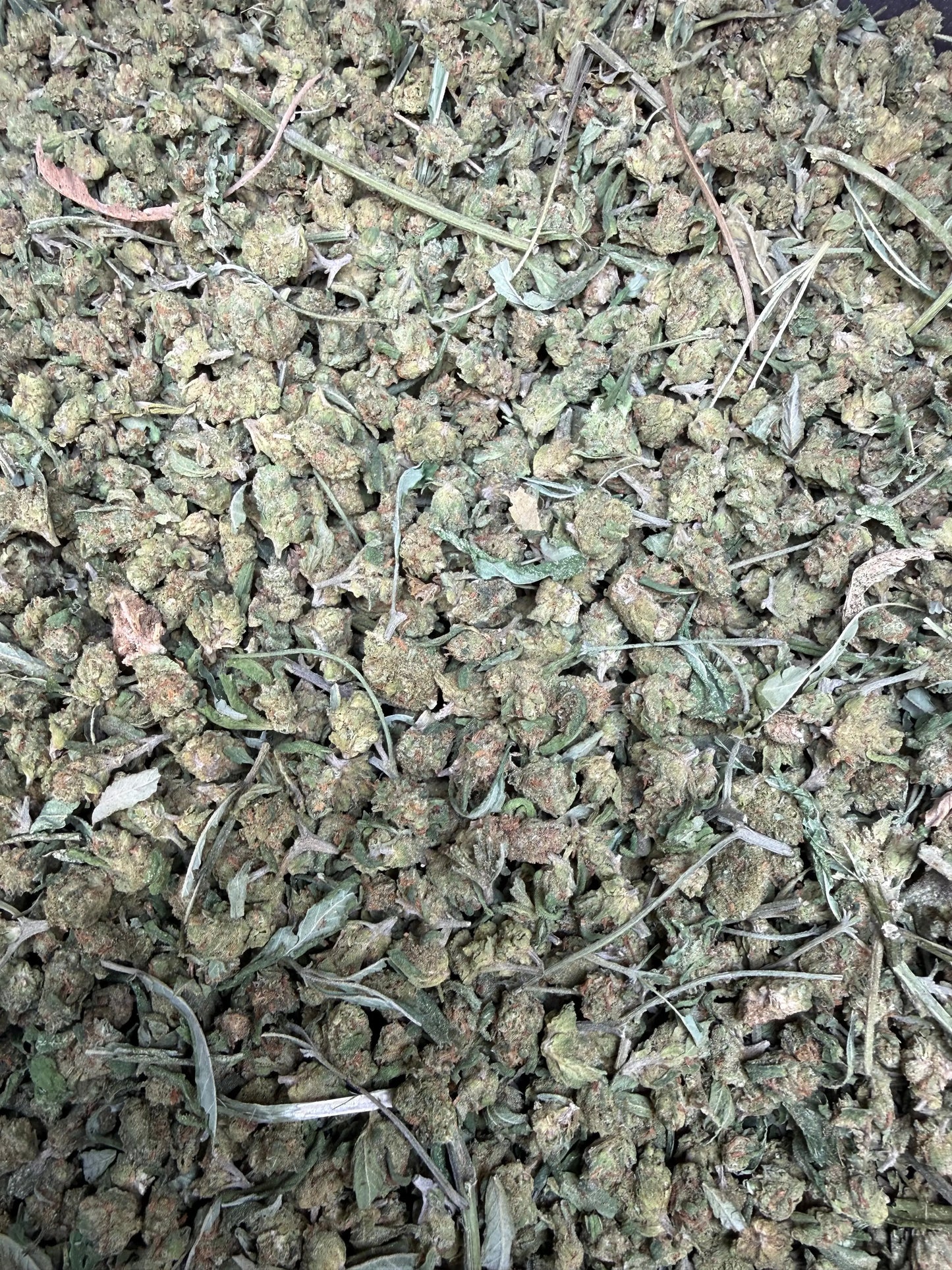 1 Pound - Blue Dream THCA Strain (Micro) Frisco Labs