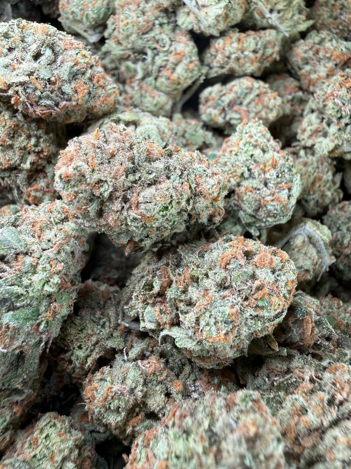 1 Pound - Blueberry Pancakes THCA Strain Frisco Labs