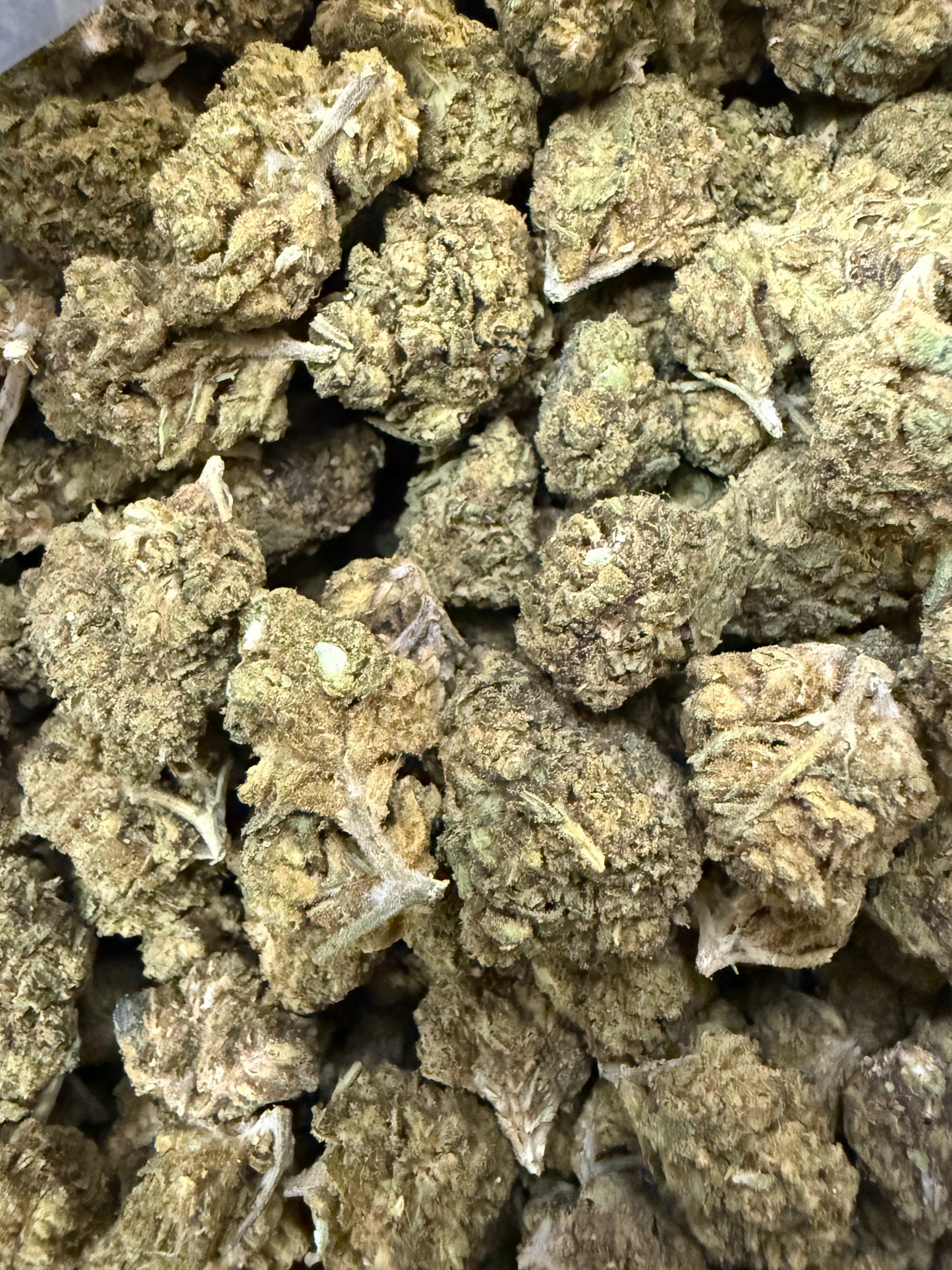 1 Pound - Chunky Monkey THCA (Budget Buds - Has SomeSeeds - Blow Out Sale) Frisco Labs