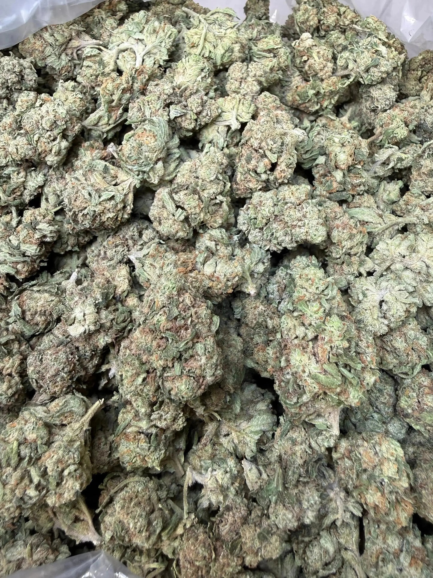 1 Pound - Melted Strawberries Strain Frisco Labs