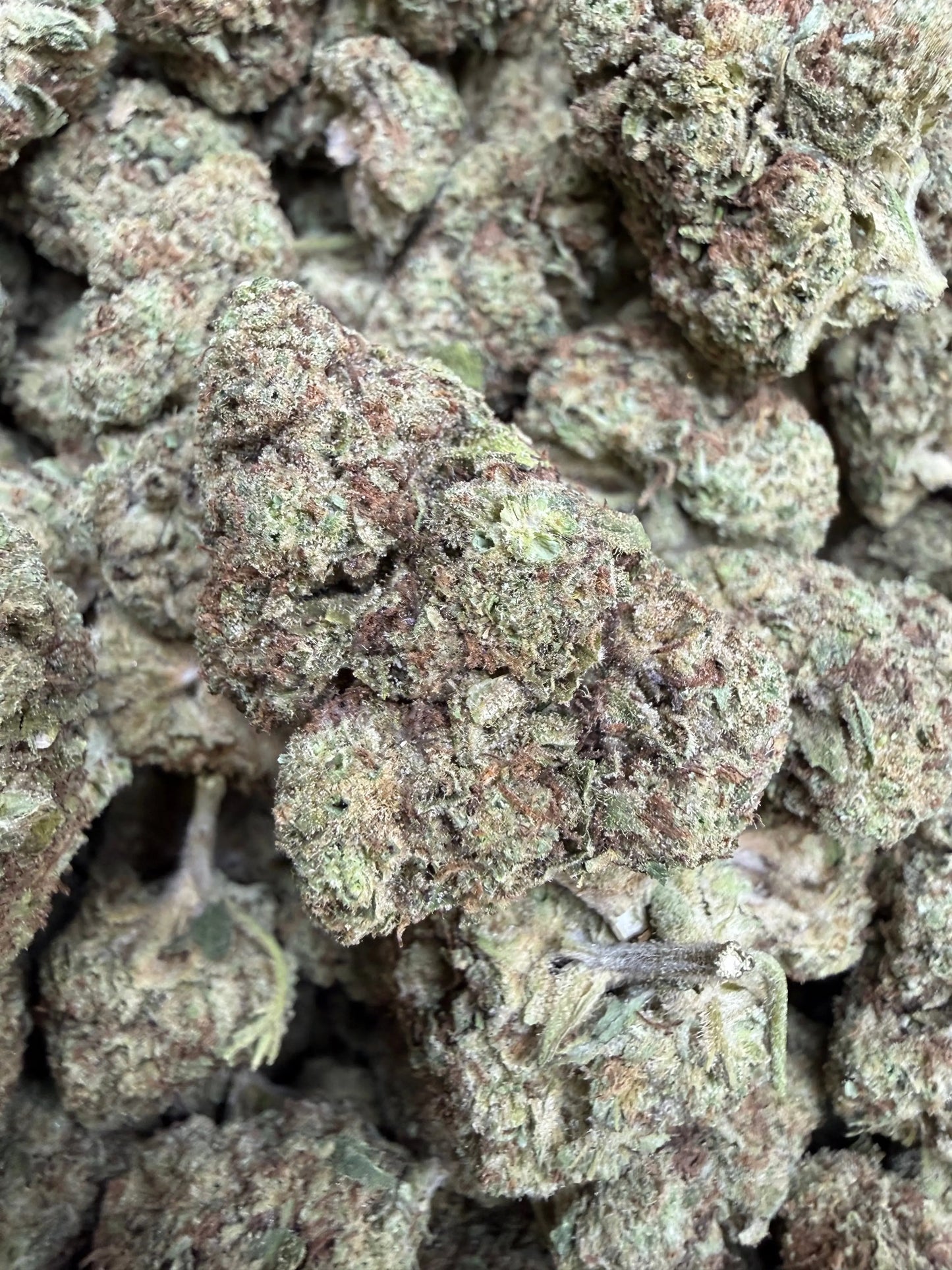 1 Pound - Cream Pop Punch Strain Frisco Labs