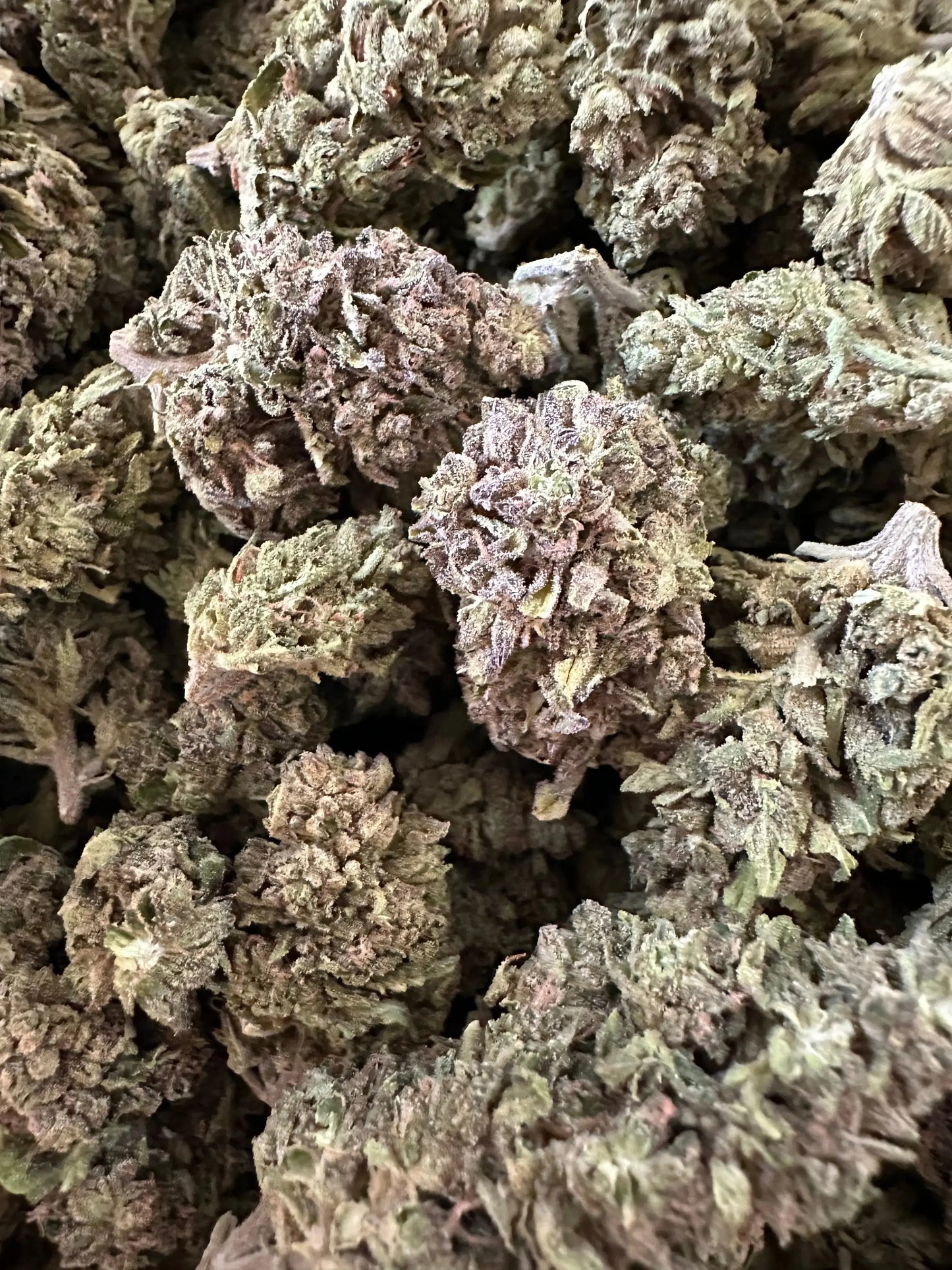 Frisco Labs - Exotic Indoor Gas Candy THCA