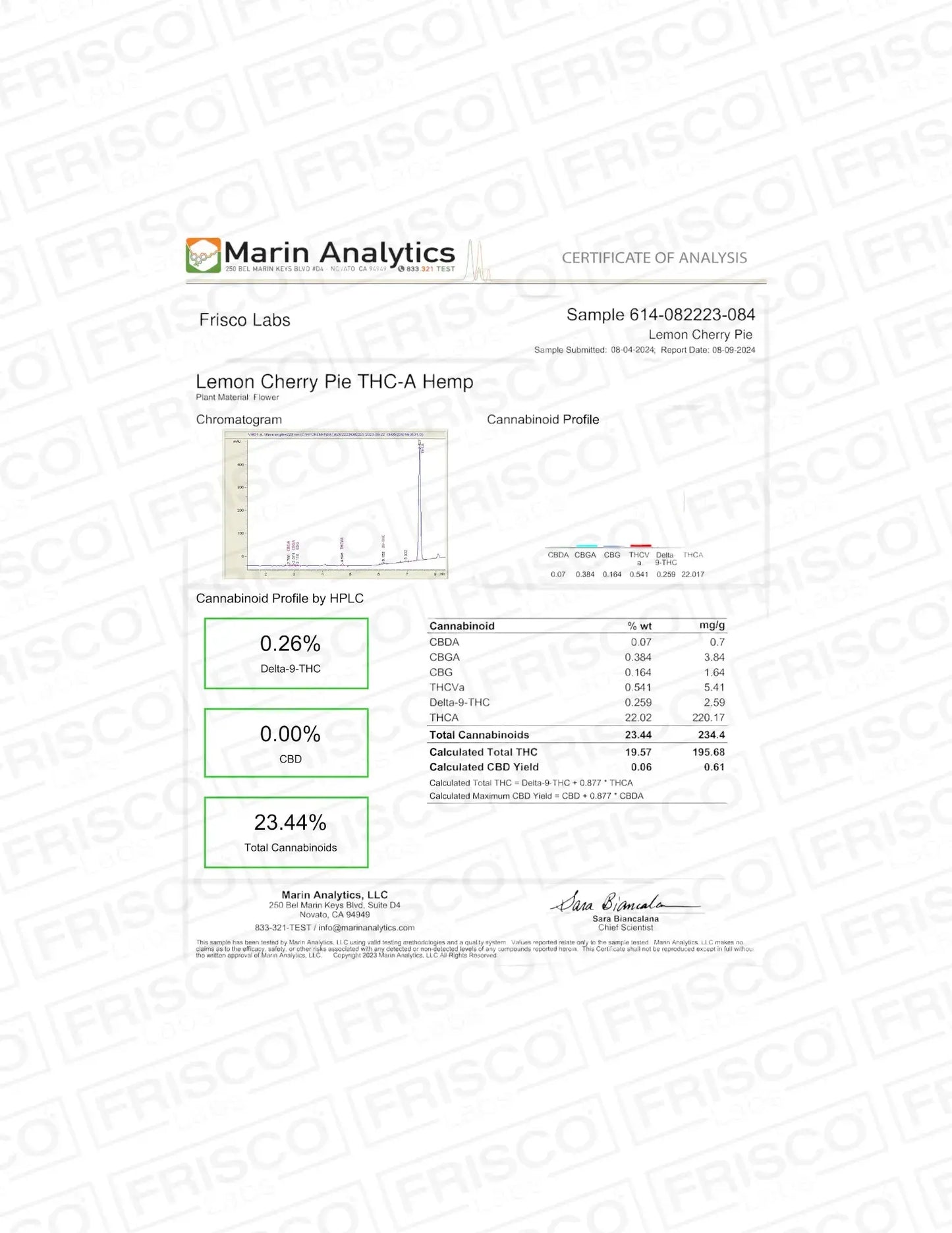 Frisco Labs Exotic Lemon Cherry Pie THCA Strain