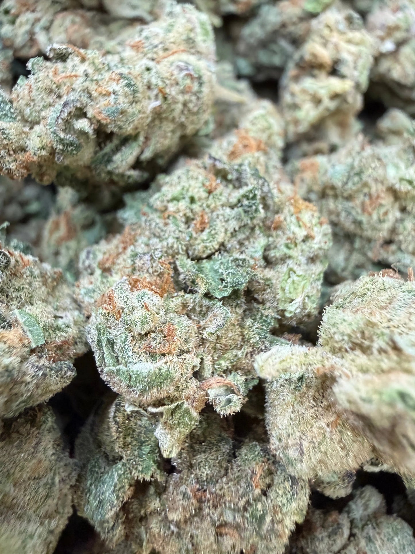 1 Pound - Glitter Bomb THCA Strain Frisco Labs