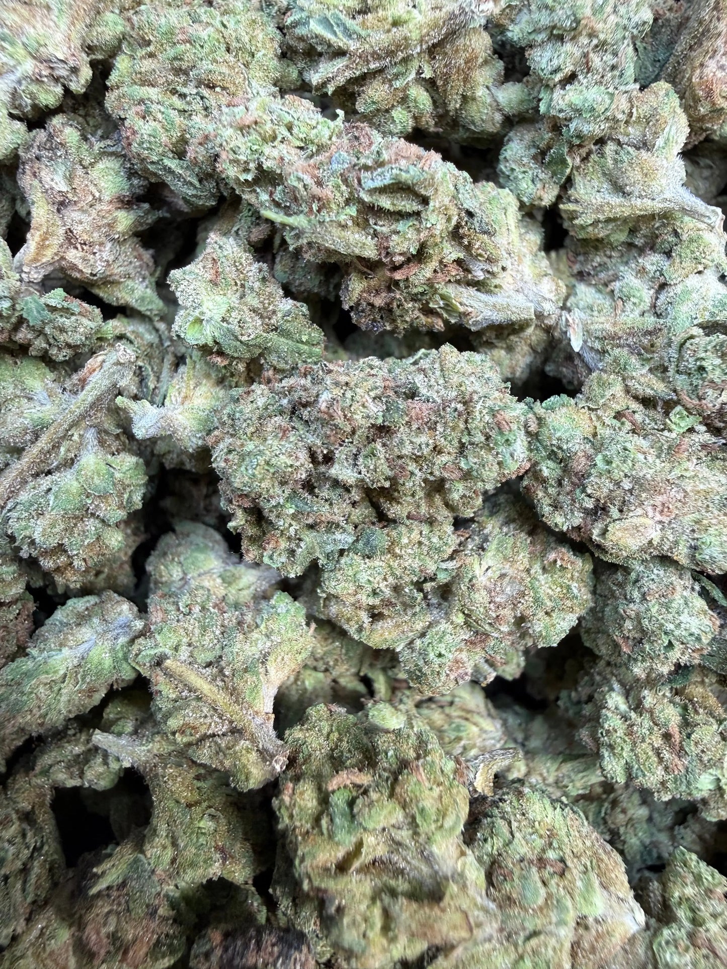 1 Pound - Ice Cream Pie THCA Strain (Small)