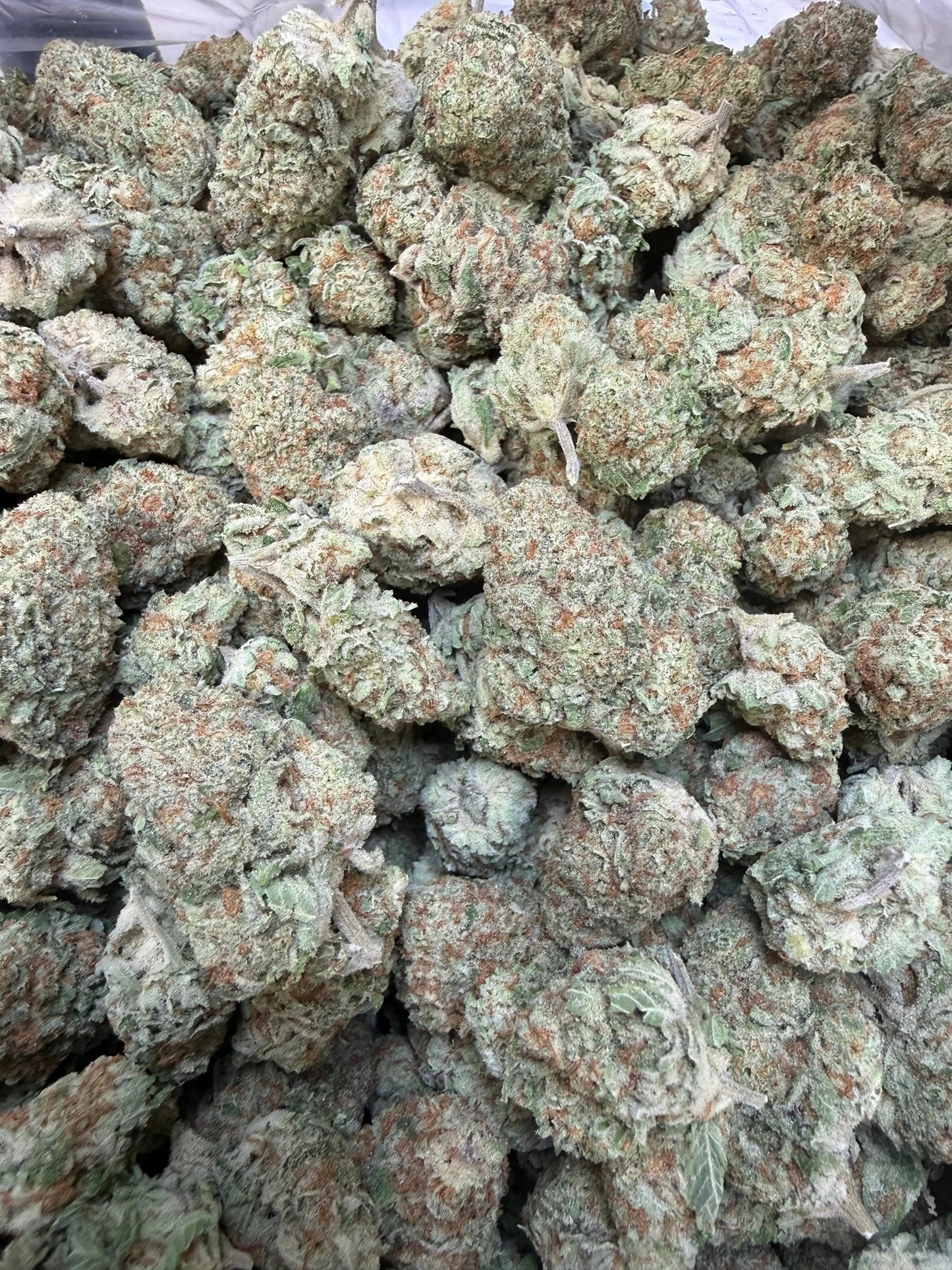 1 Pound - Jungle Juice THCA Strain Frisco Labs