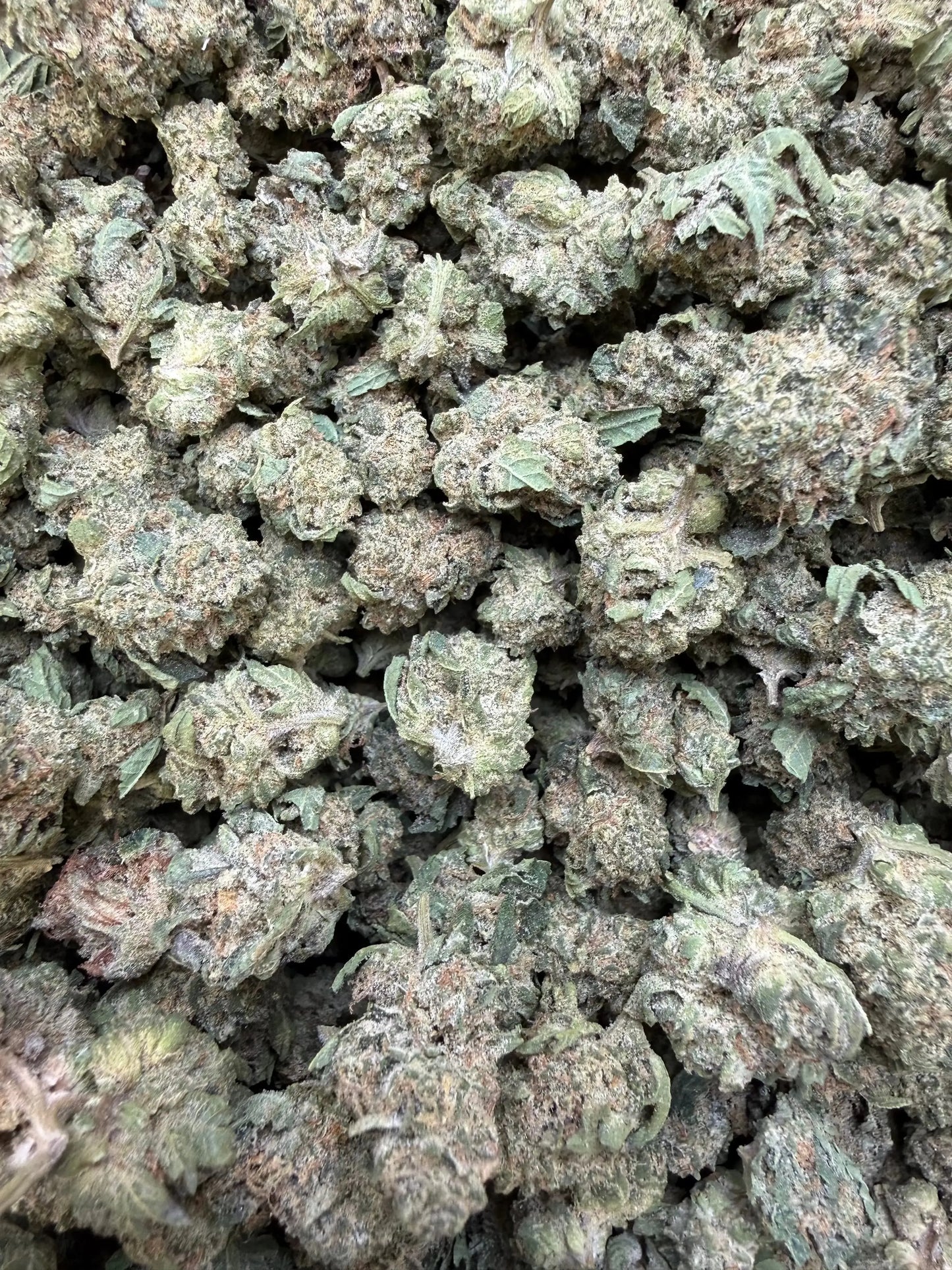 1 Pound - King Bling THCA Strain (Small) Frisco Labs