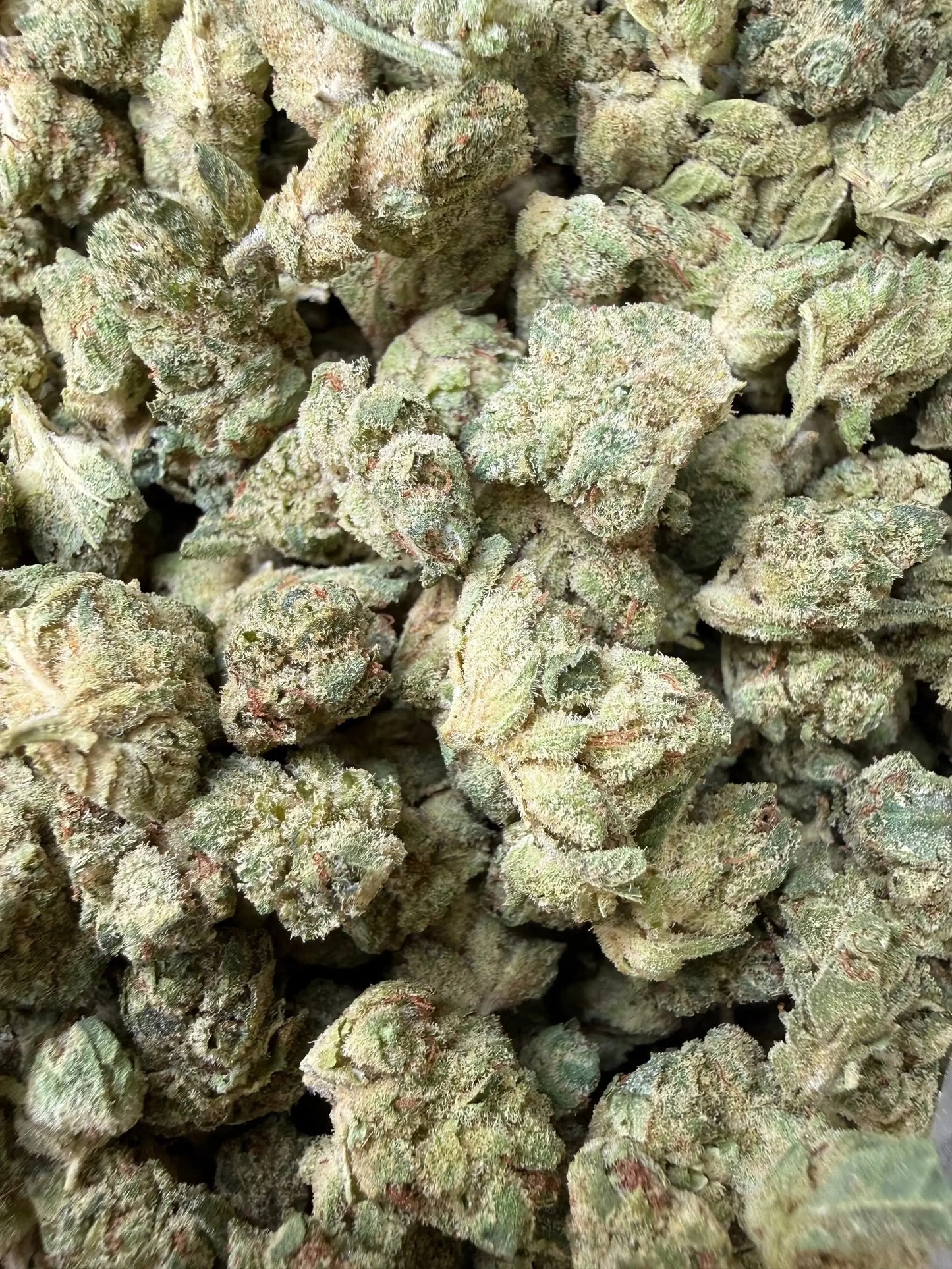 1 Pound - Graff Gazz THCA Strain Frisco Labs