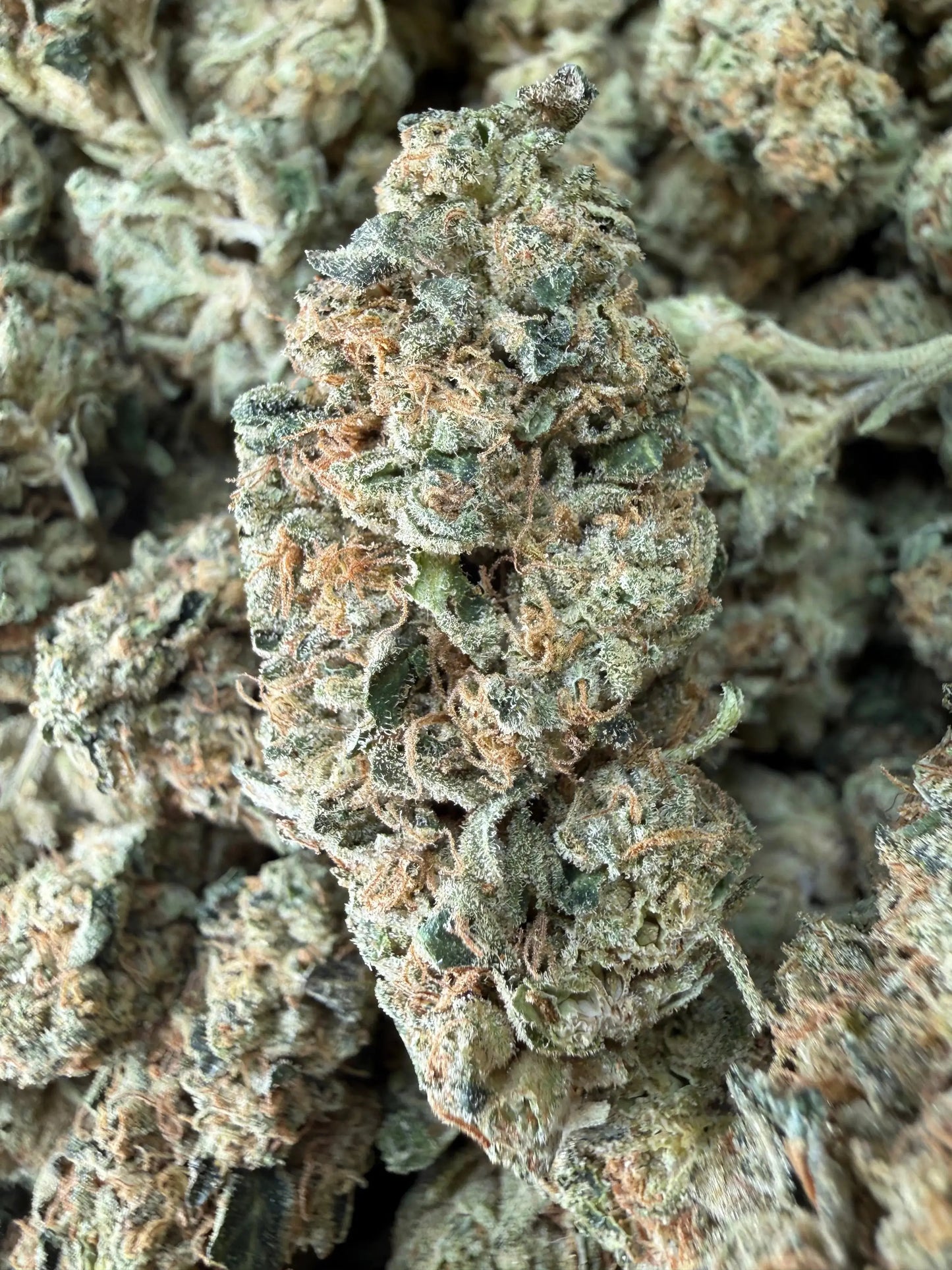 1 Pound - LA Confidential THCA Strain Frisco Labs