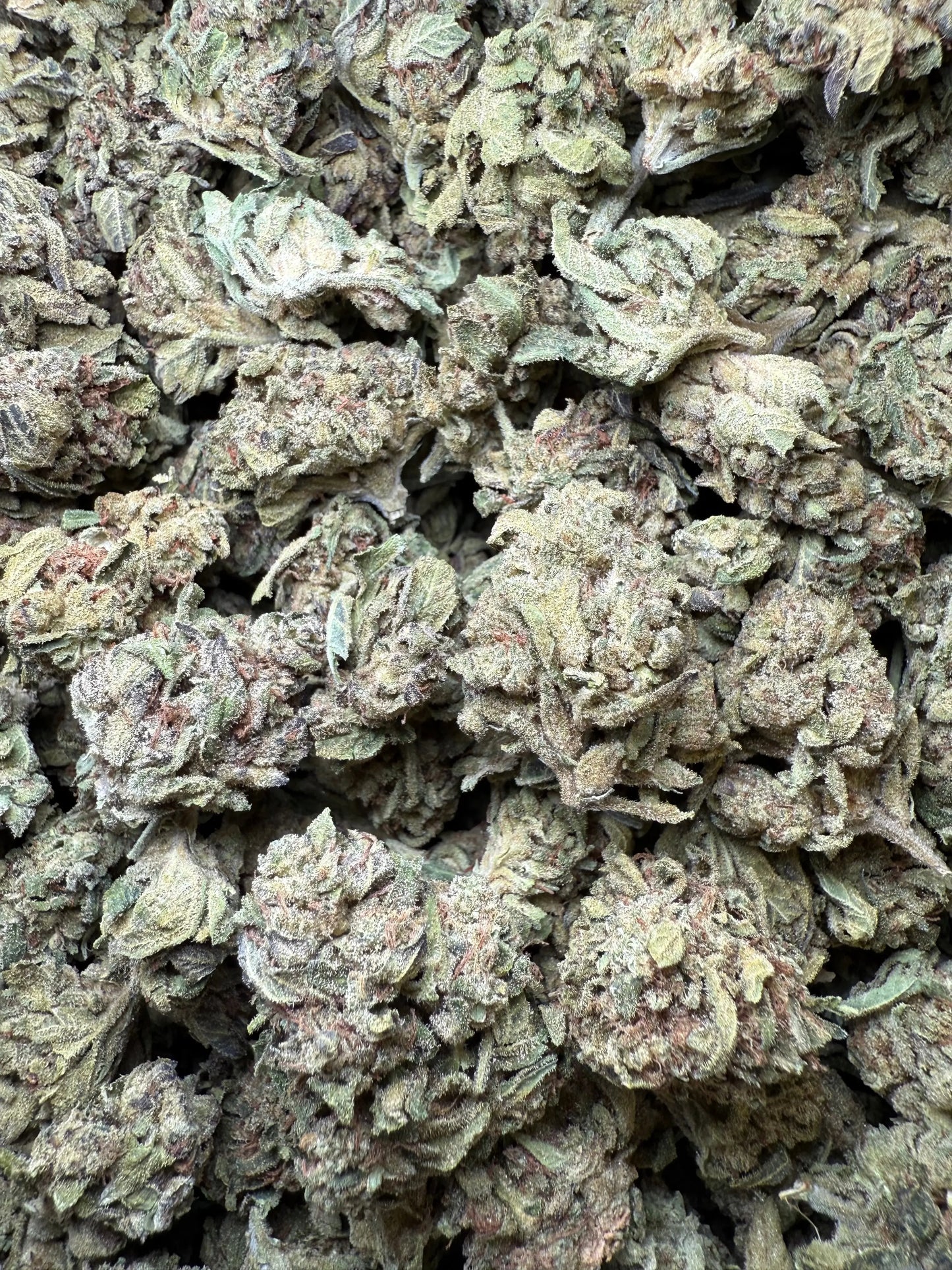 1 Pound - Lemon Cherry Gelato X Wedding Cake THCA Frisco Labs