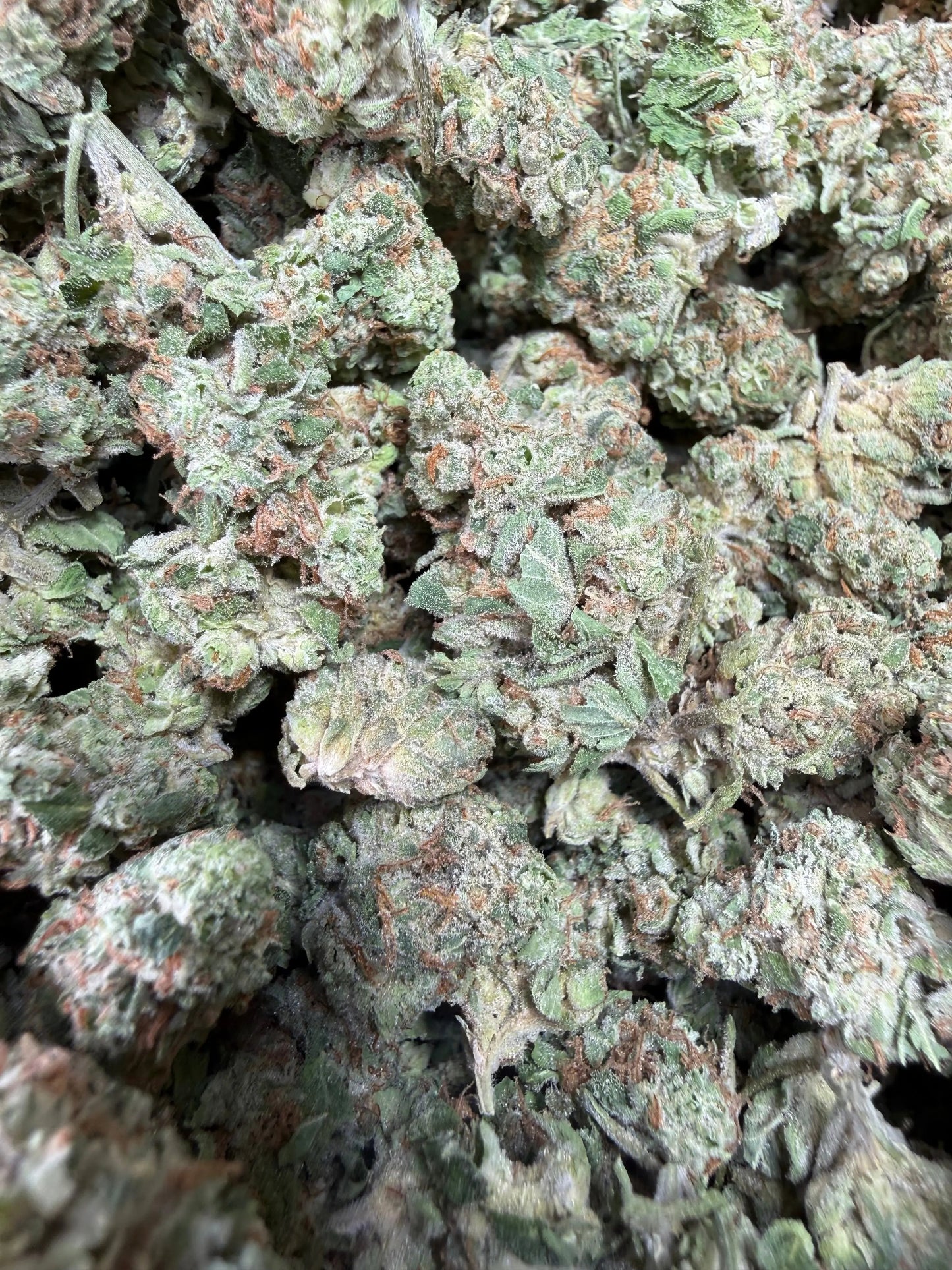 1 Pound - Midnight Fuel THCA Strain Frisco Labs