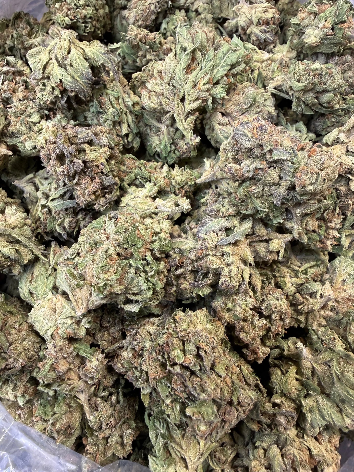 1 Pound - Pink Roze THCA Strain Frisco Labs