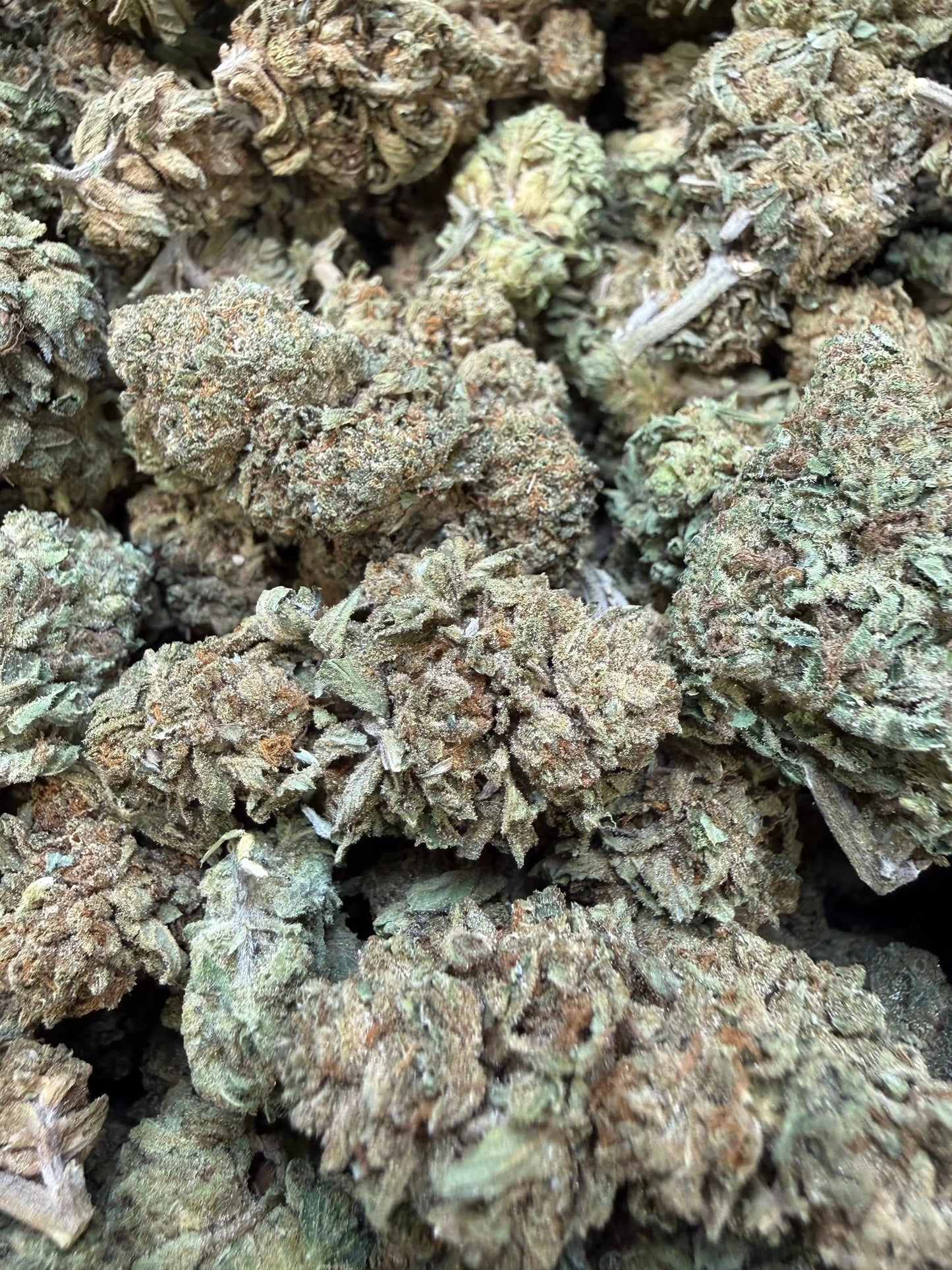 1 Pound - Pinnacle THCA Strain (Budget Buds) Frisco Labs