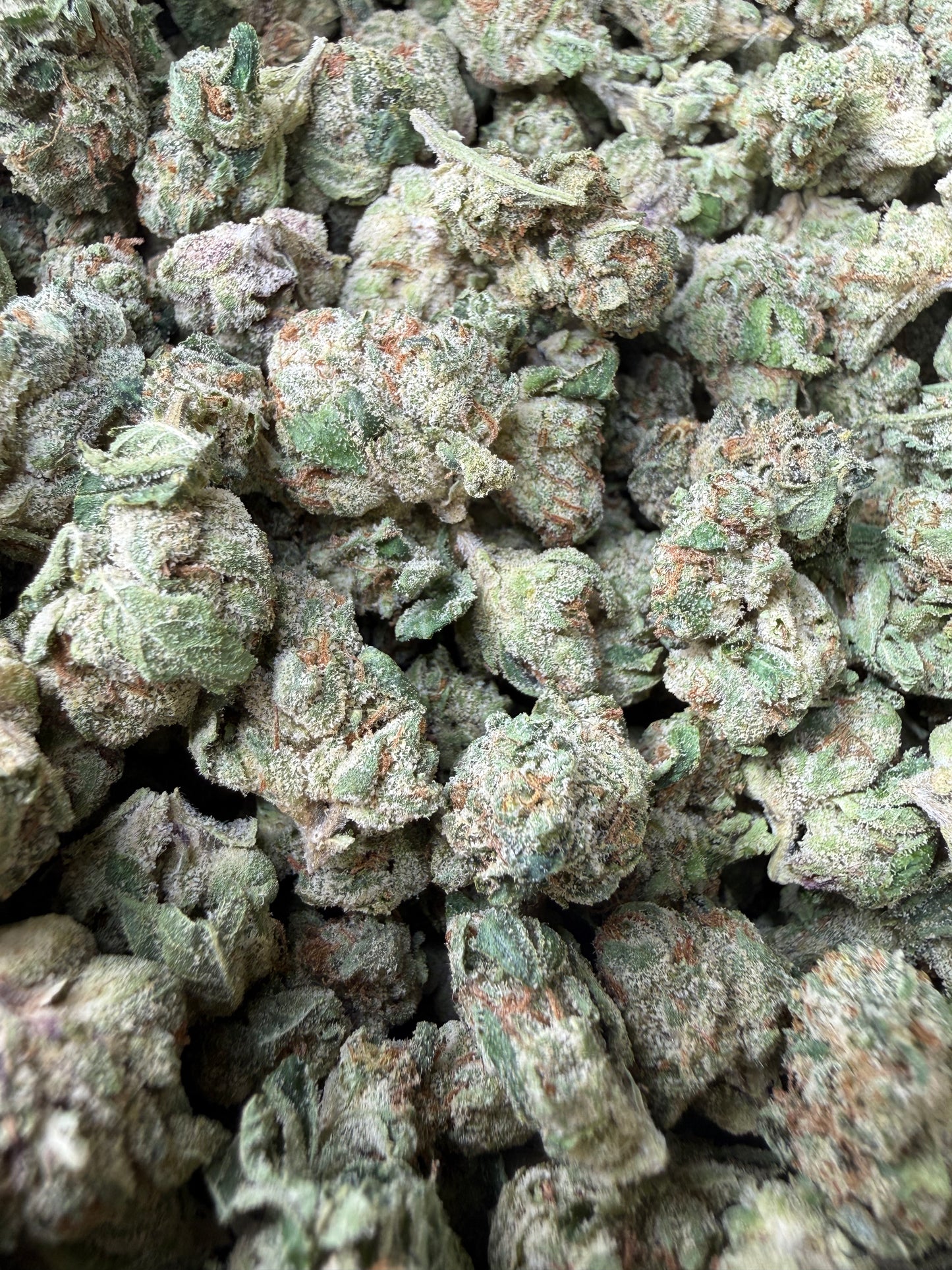 1 Pound - Sherblato THCA Strain (Smalls) Frisco Labs