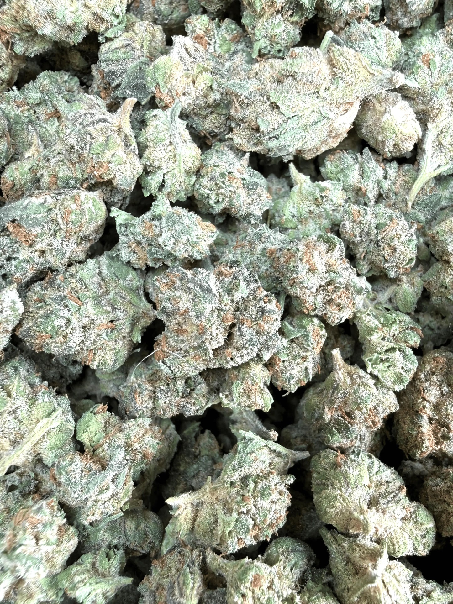 1 Pound - Slurricane THCA Strain (Smalls) Frisco Labs