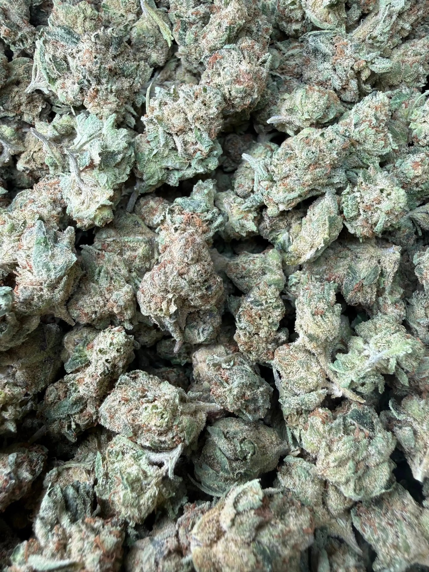1 Pound - Space Queen THCA Strain (Smalls) Frisco Labs