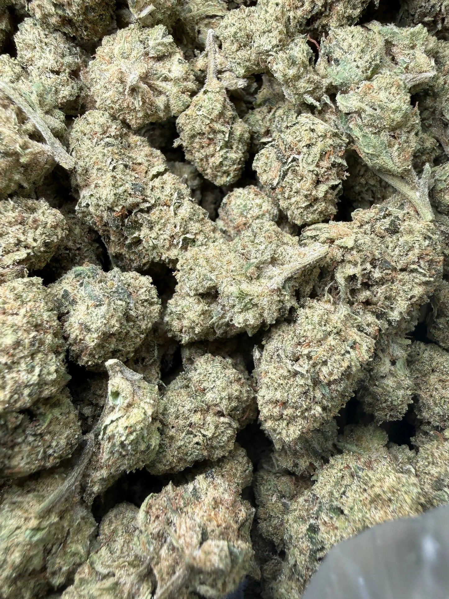 1 Pound - Space Rocks THCA Strain Frisco Labs