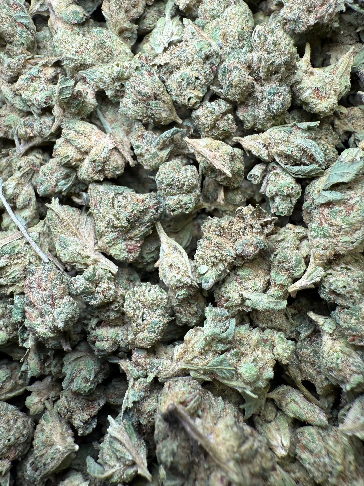 1 Pound - Super Glue THCA Strain (Small) Frisco Labs