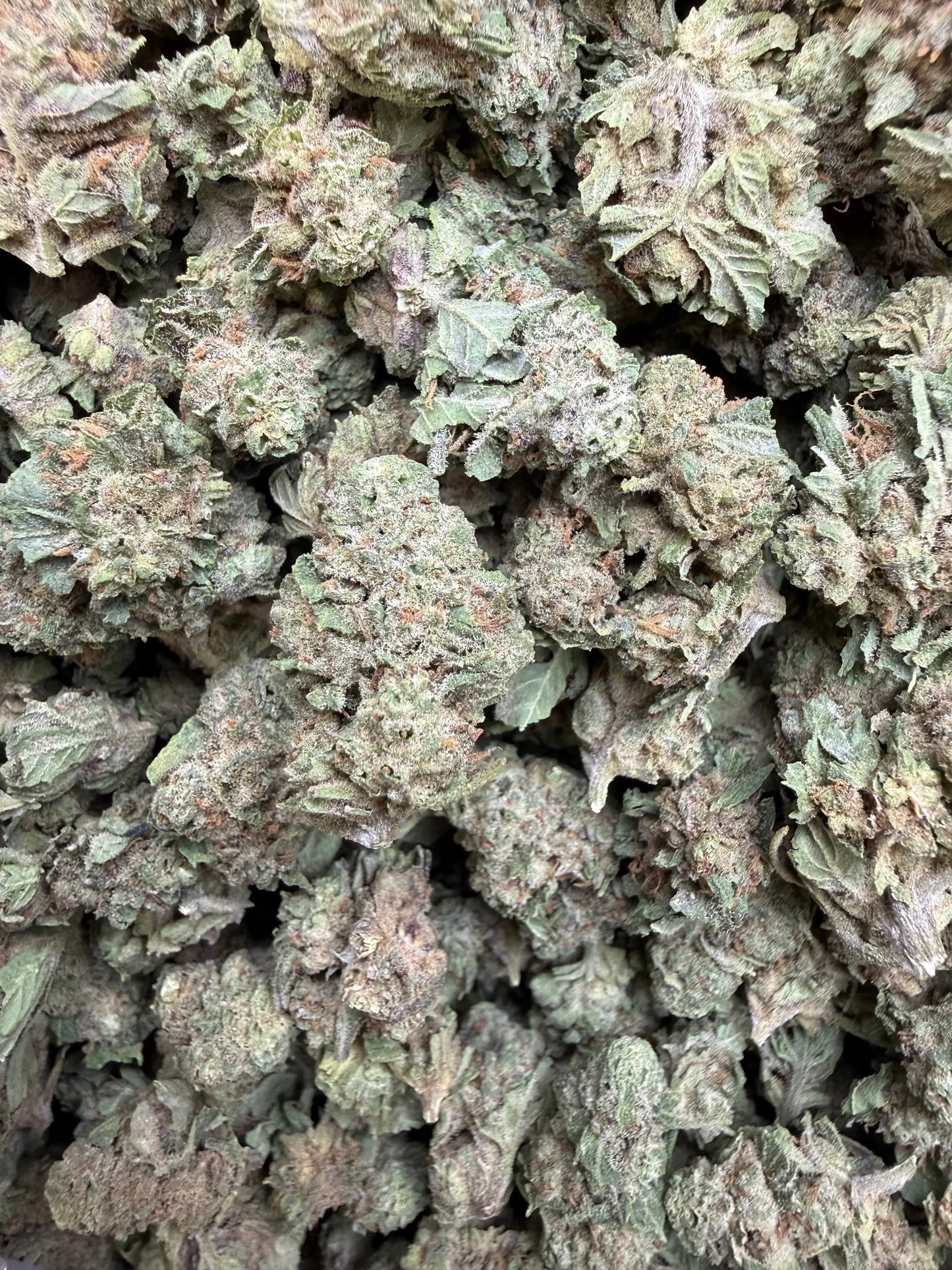 1 Pound - Wild Card THCA Strain (Small) Frisco Labs