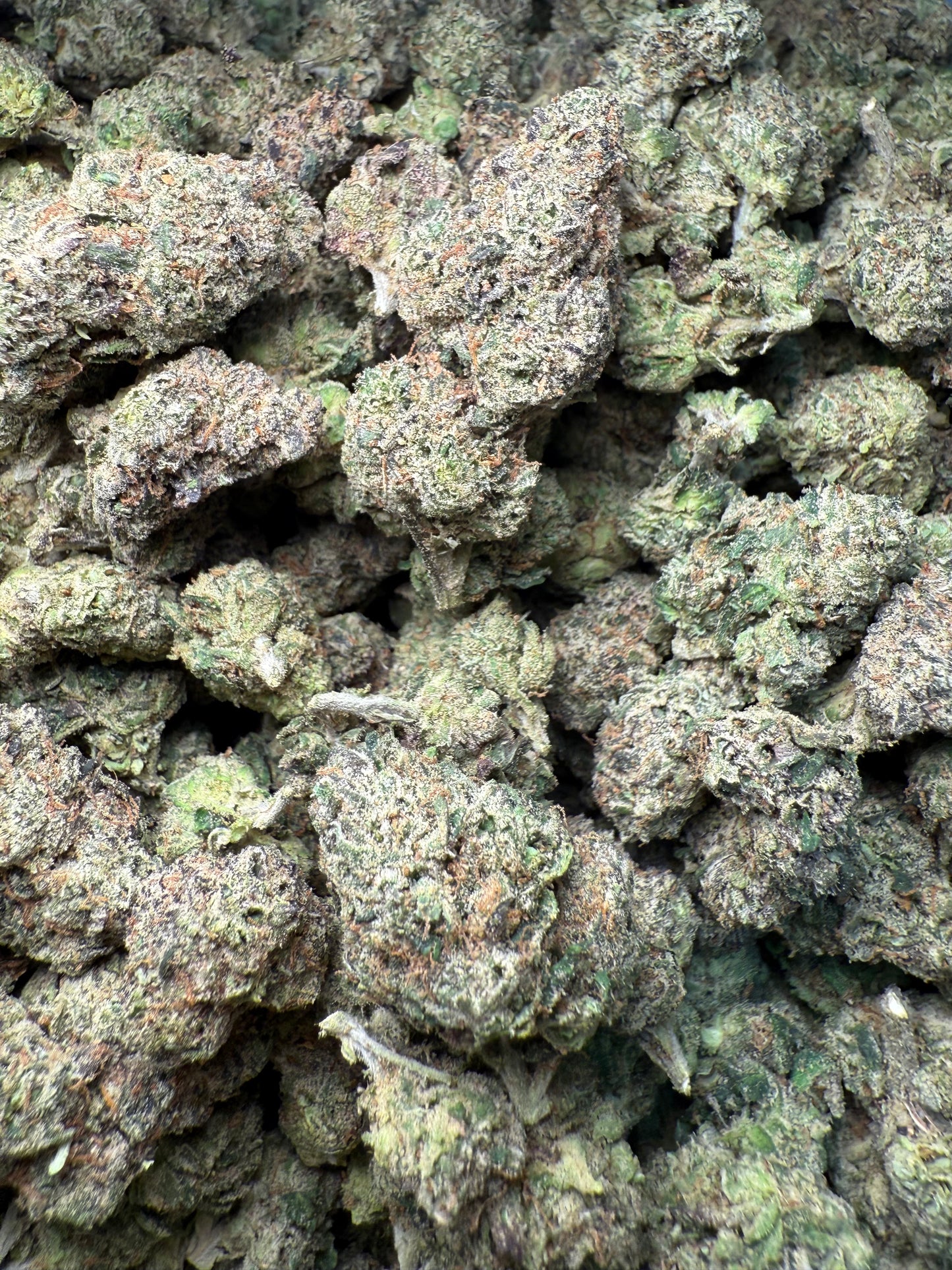 1 Pound – AAA Pink Panties | Exotic Indoor THCA Flower | 28%+ THCA FL Fulfillment Center