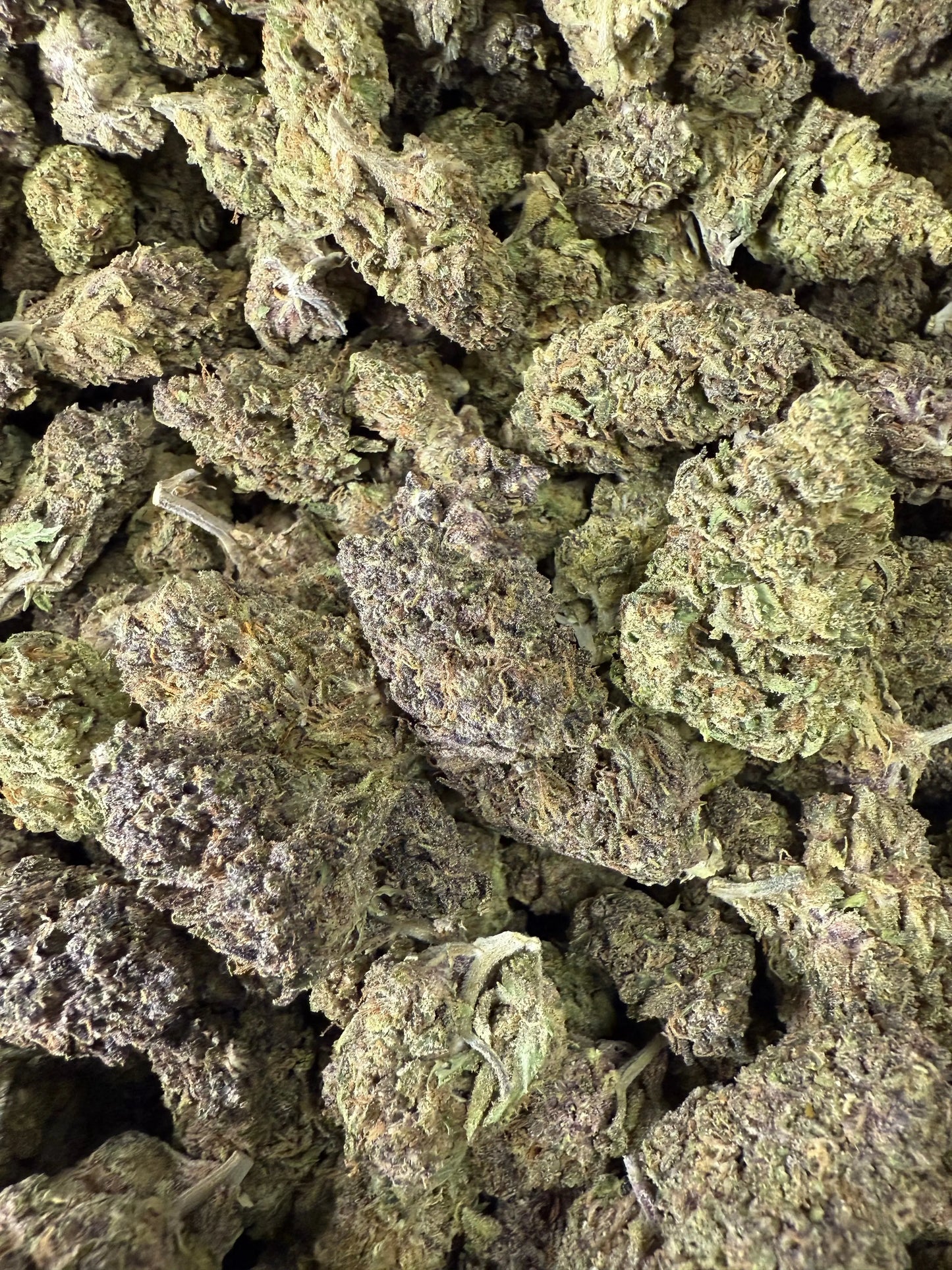 1 Pound of Catholic School Girl THCA FL Fulfillment Center
