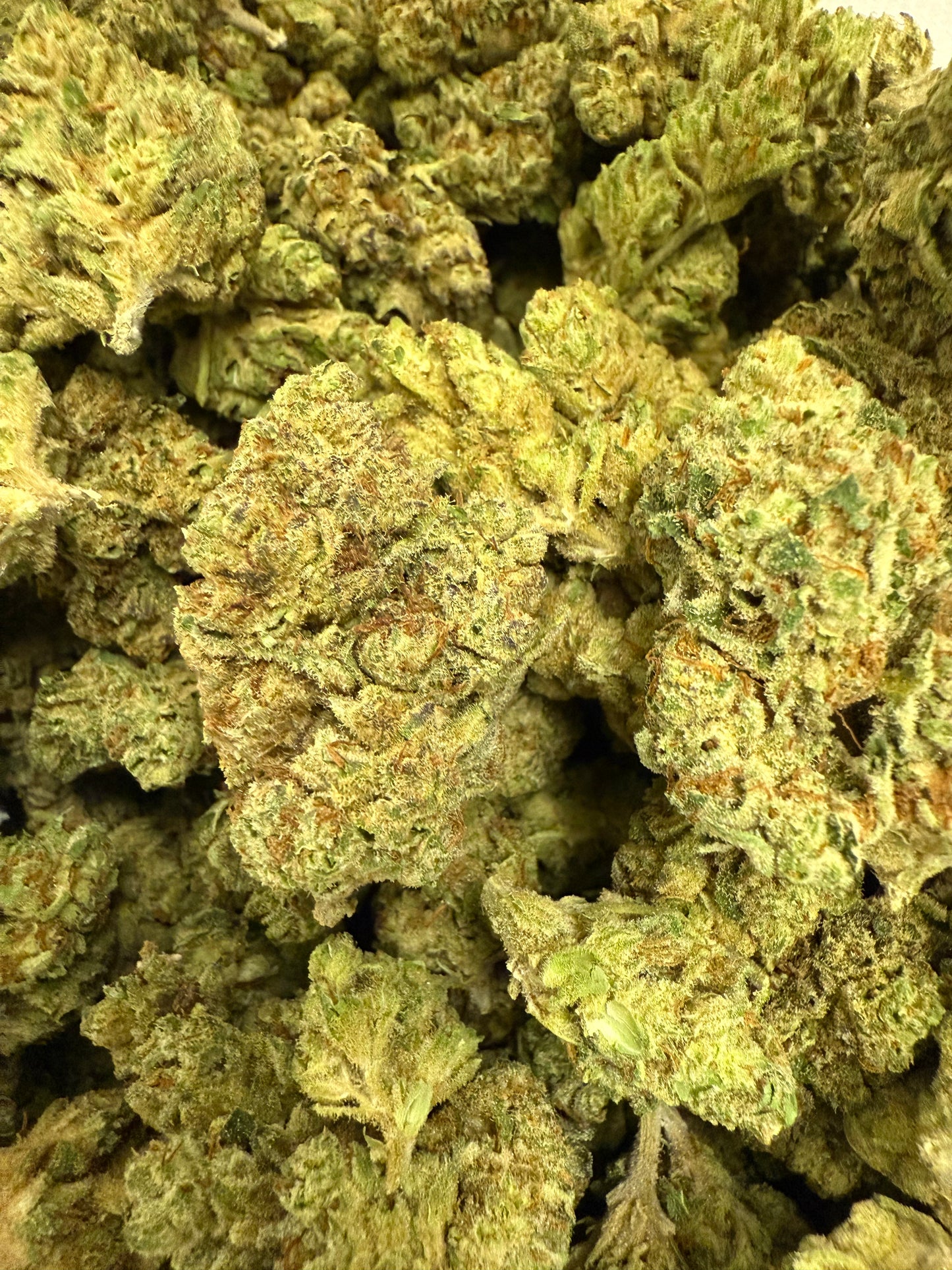 1 Pound of Cheetah Cake THCA FL Fulfillment Center