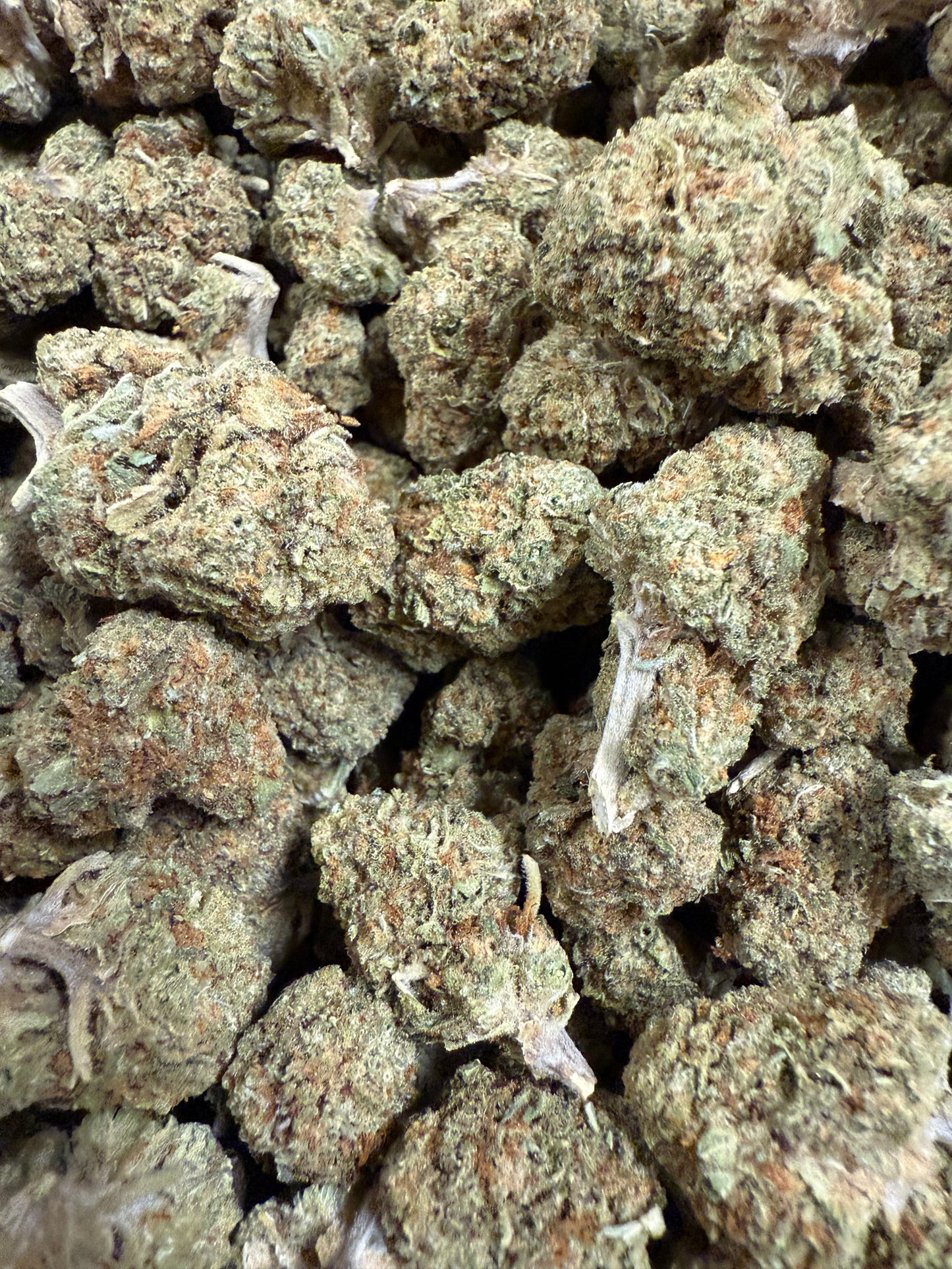 1 Pound of Disco Biscuit THCA (Mediums) FL Fulfillment Center