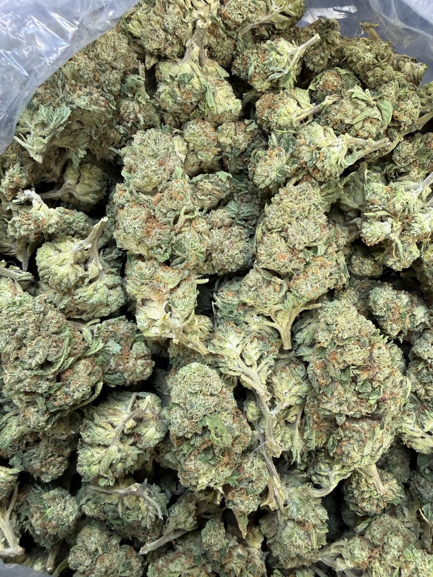 1 Pound of Strawberry Gelato THCA FL Fulfillment Center