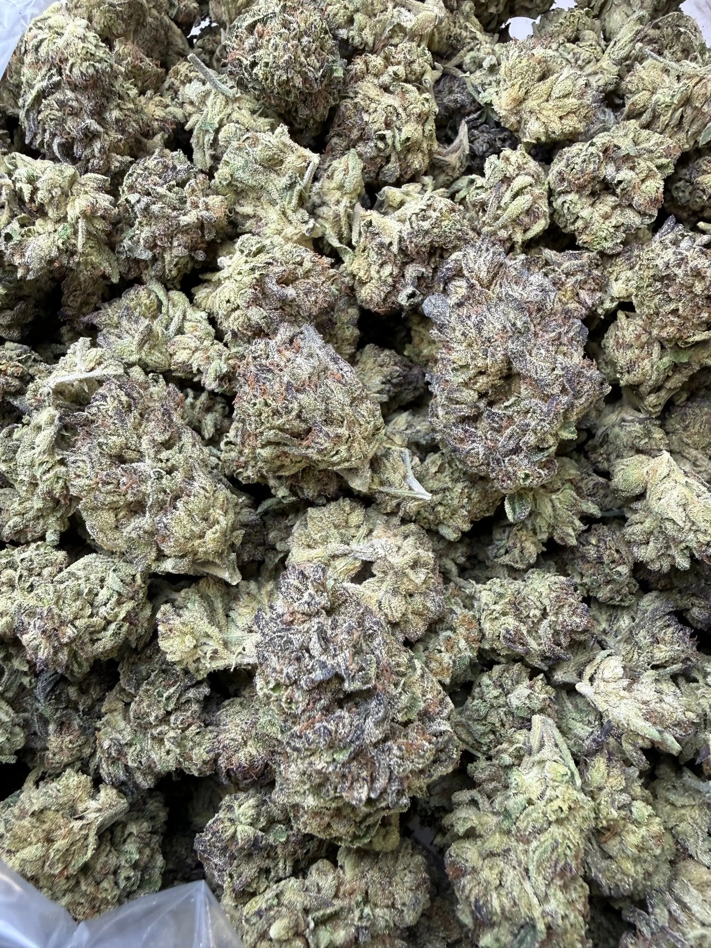 1/4 Pound - Cake Melt THCA Strain Frisco Labs