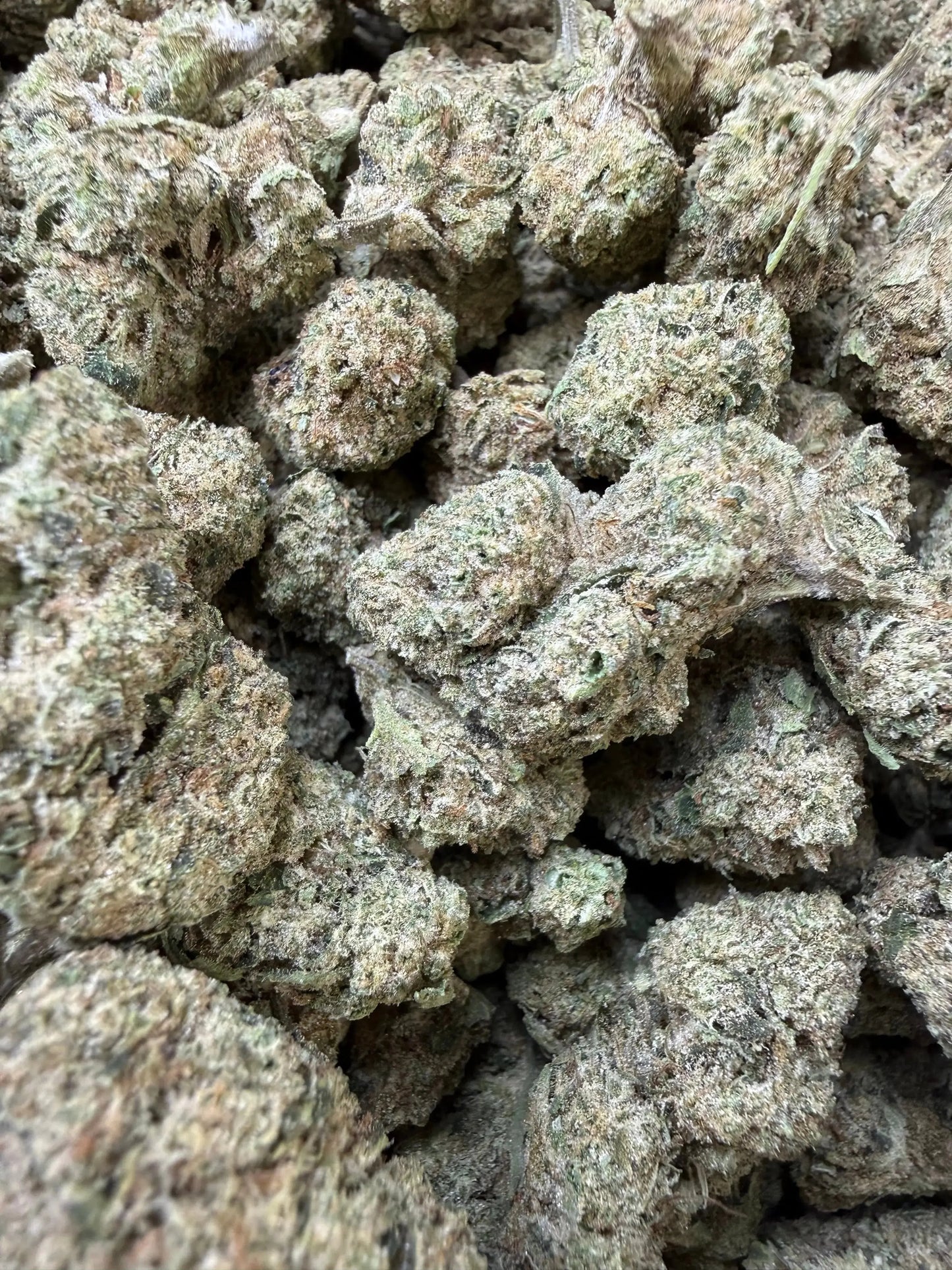 1/4 Pound - Glaciers THCA Strain Frisco Labs