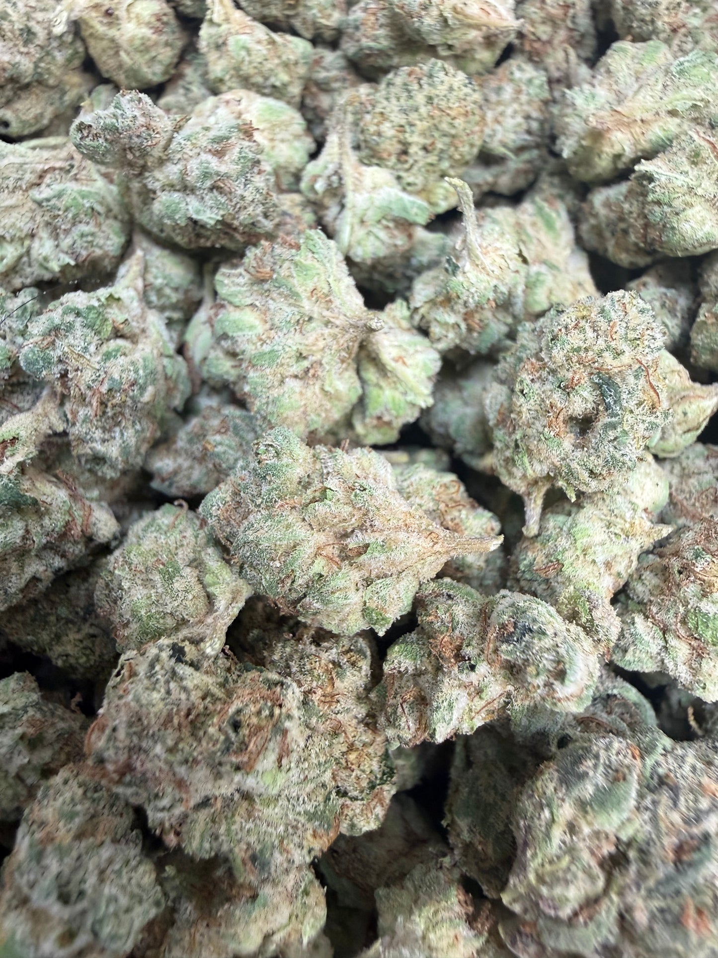 1 Pound - Crunch Berries Flower (Smalls)
