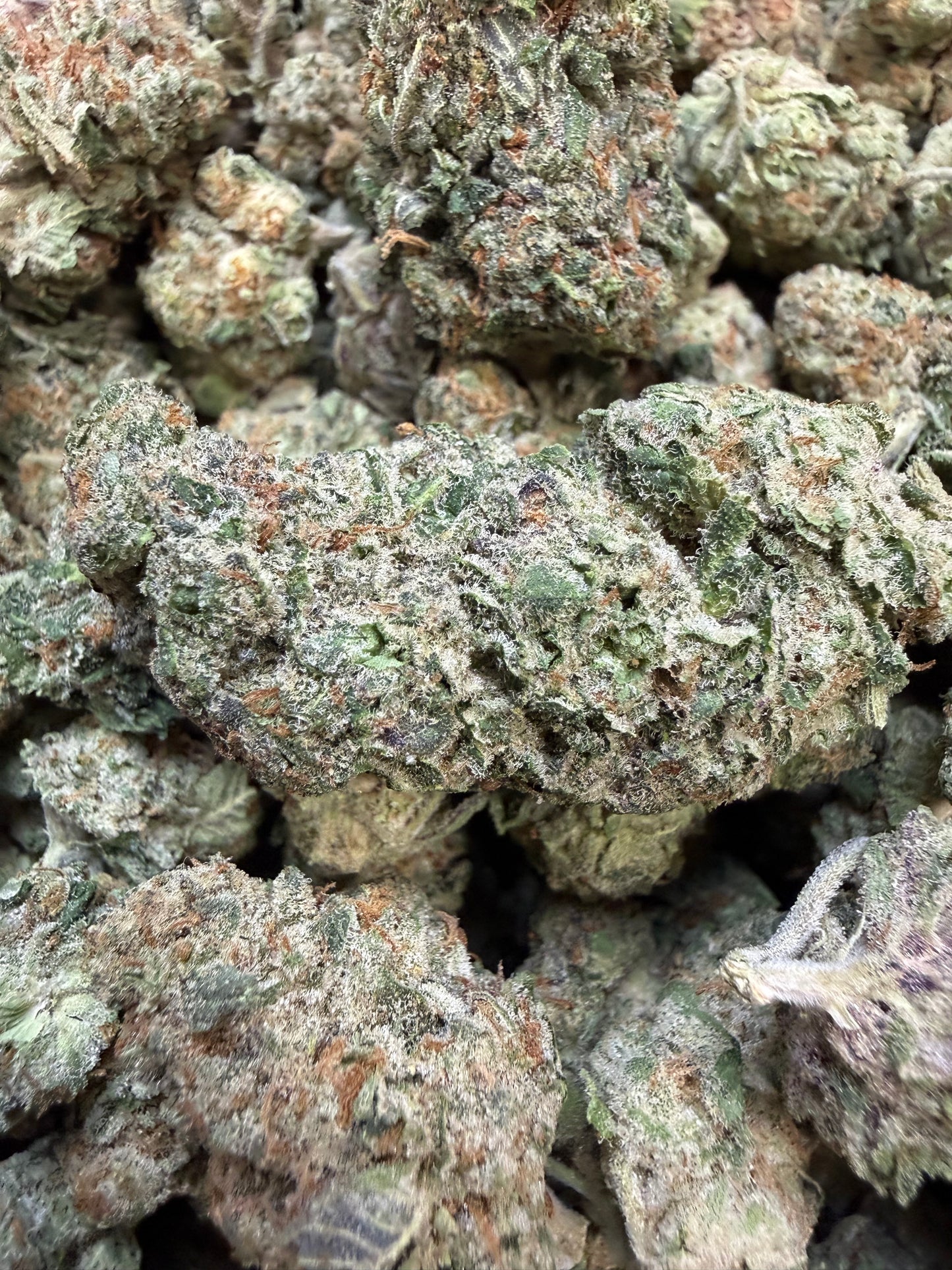 1 Pound - Secret Nectra THCA Flower