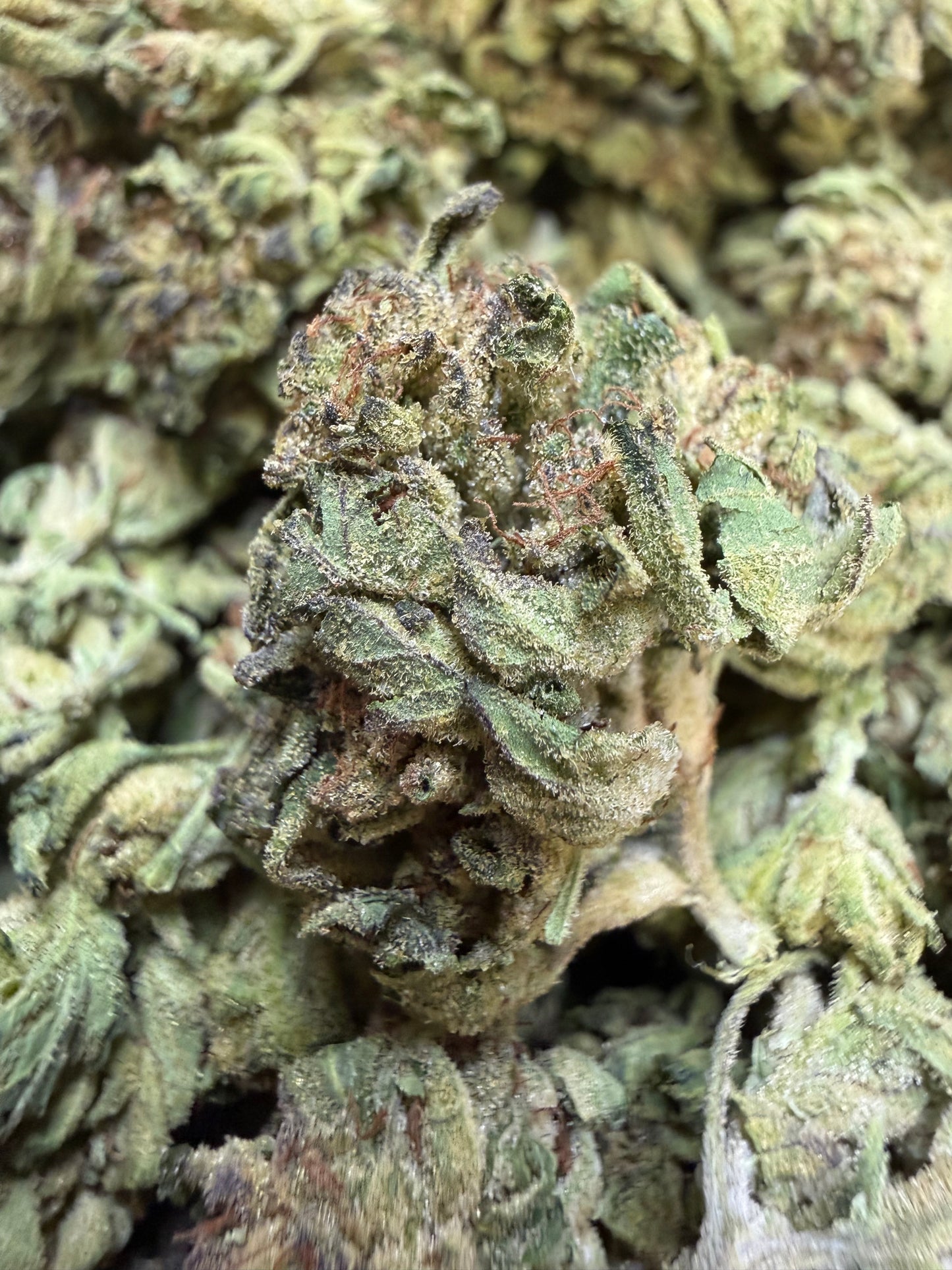 1 Pound - Sweet N' Sour OG THCA Flower