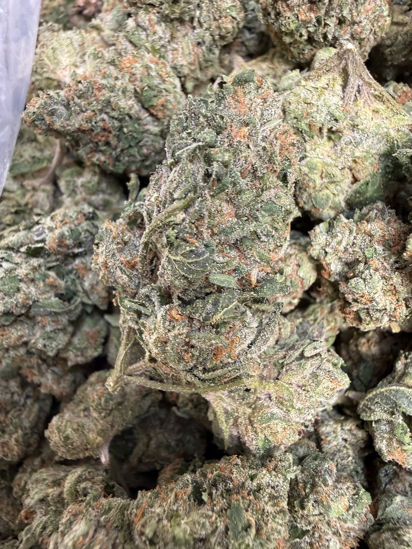 1 Pound - Face Off OG THCA Flower