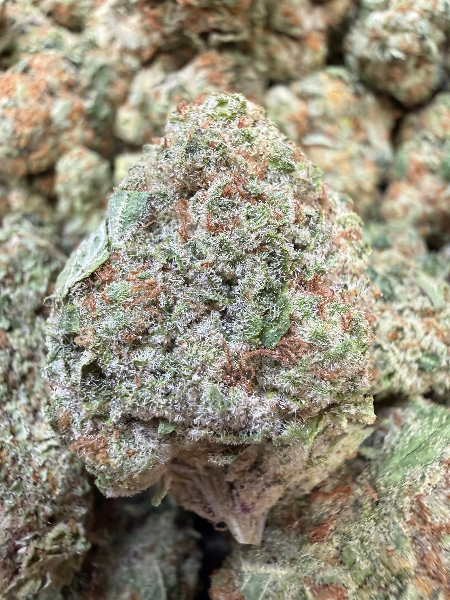 1 Pound - Phat Panda THCA Flower