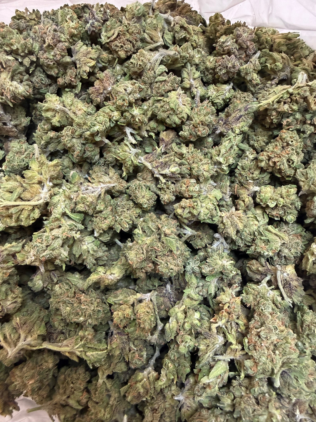 1 Pound - Zangria THCA Flower (Smalls)