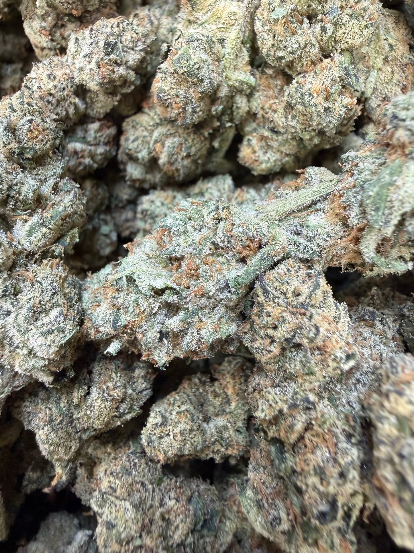 1 Pound - Cotton Candy Cookies THCA Flower