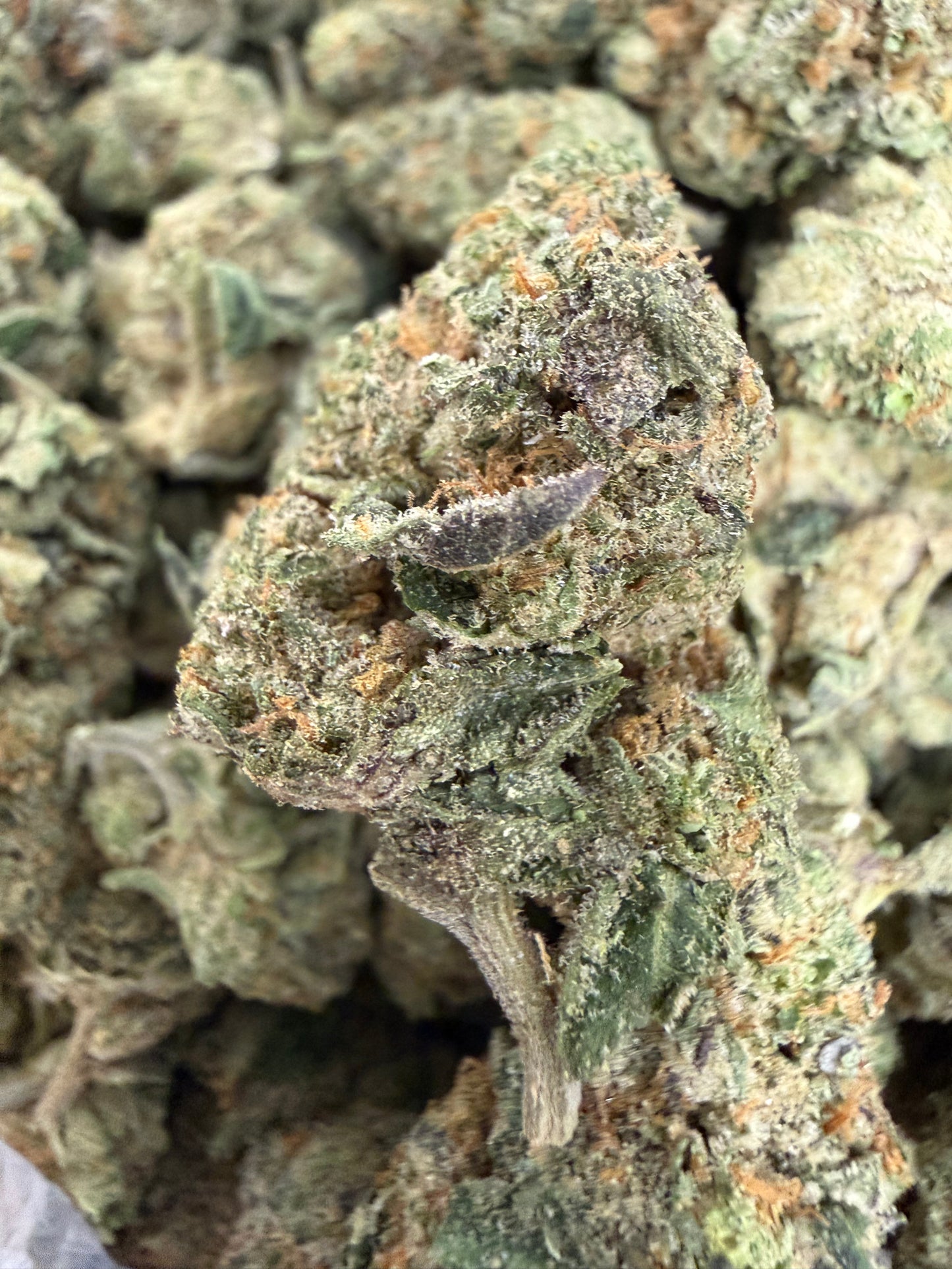 1 Pound - Freeze Popz THCA Flower